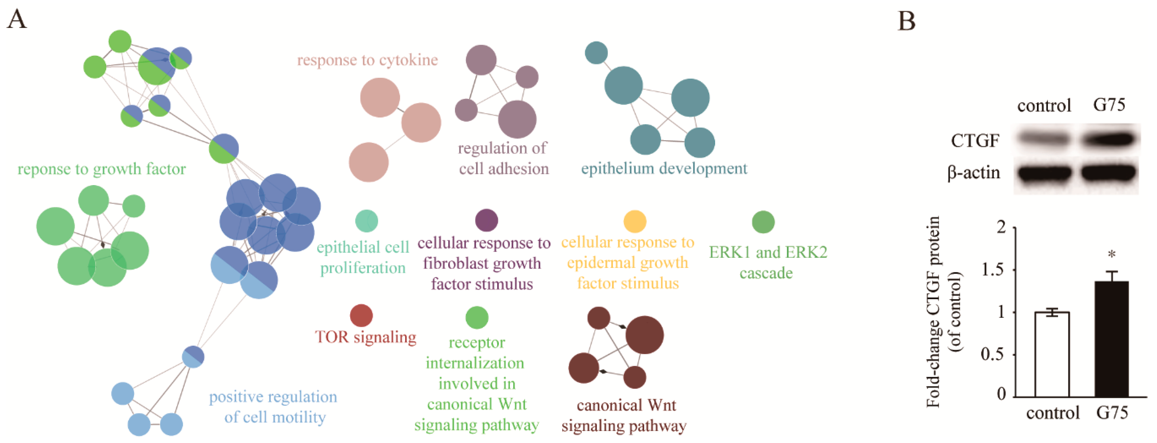 Molecules 24 01595 g004 Molecules 24 01595 g004