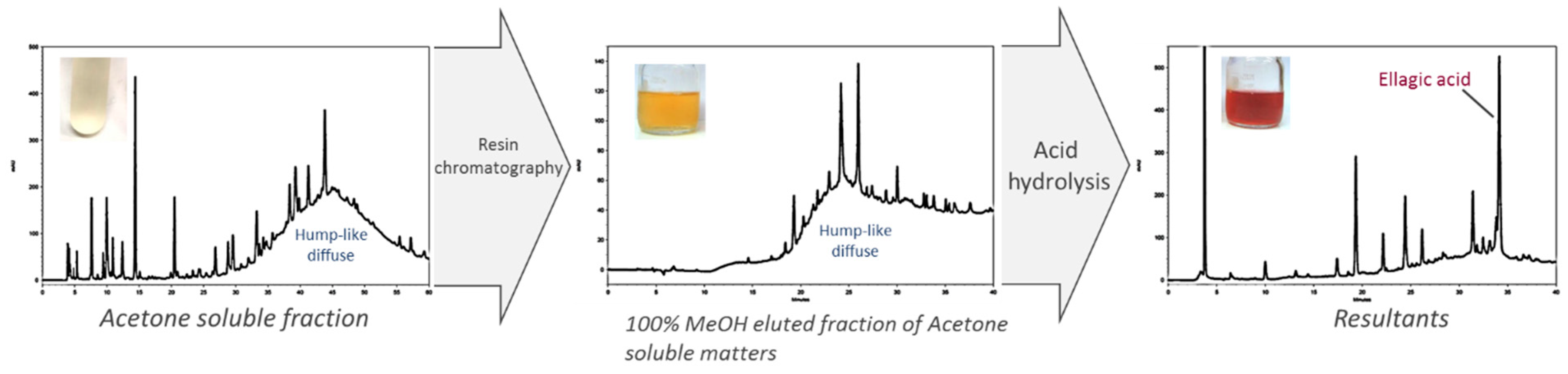 Molecules 24 01601 g003