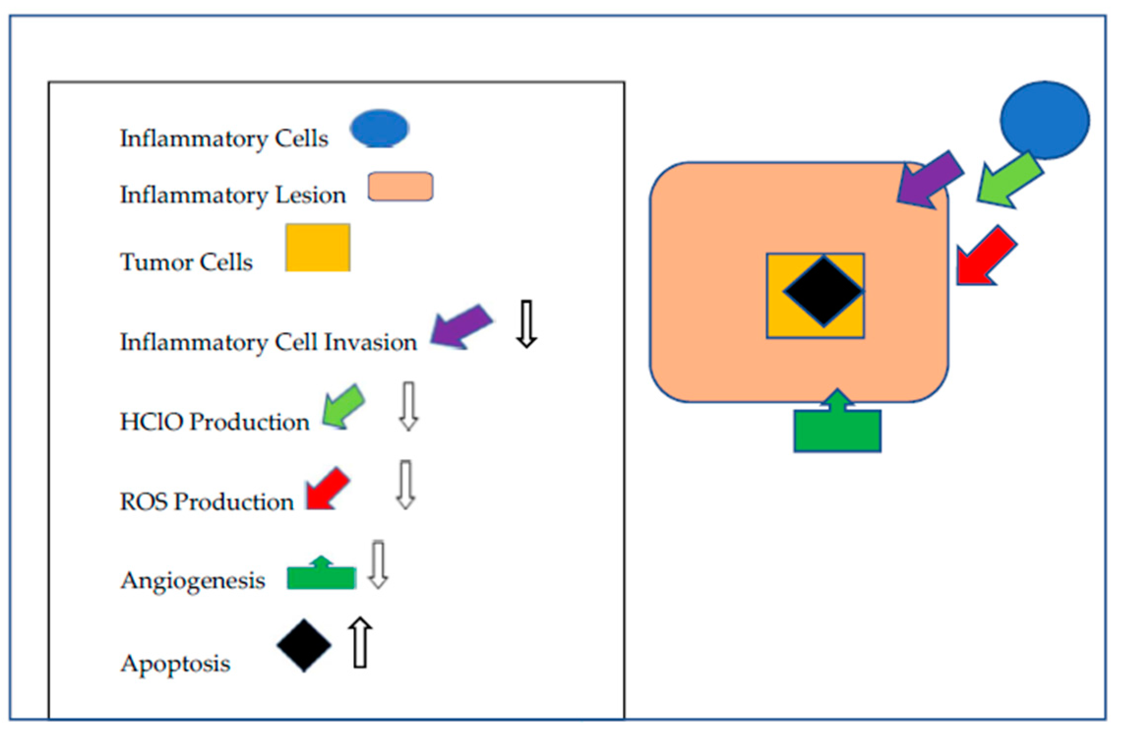 Molecules 24 01602 g001