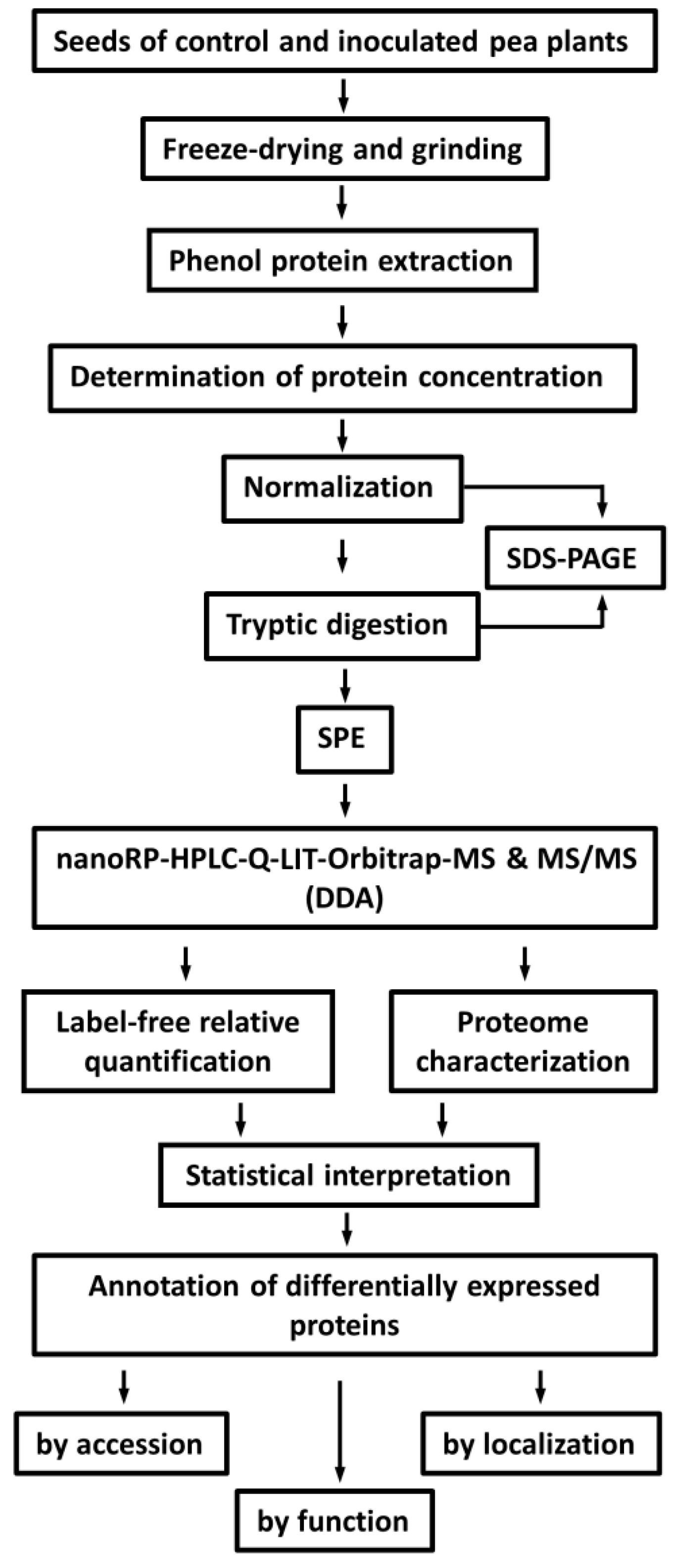 Molecules 24 01603 g001 550