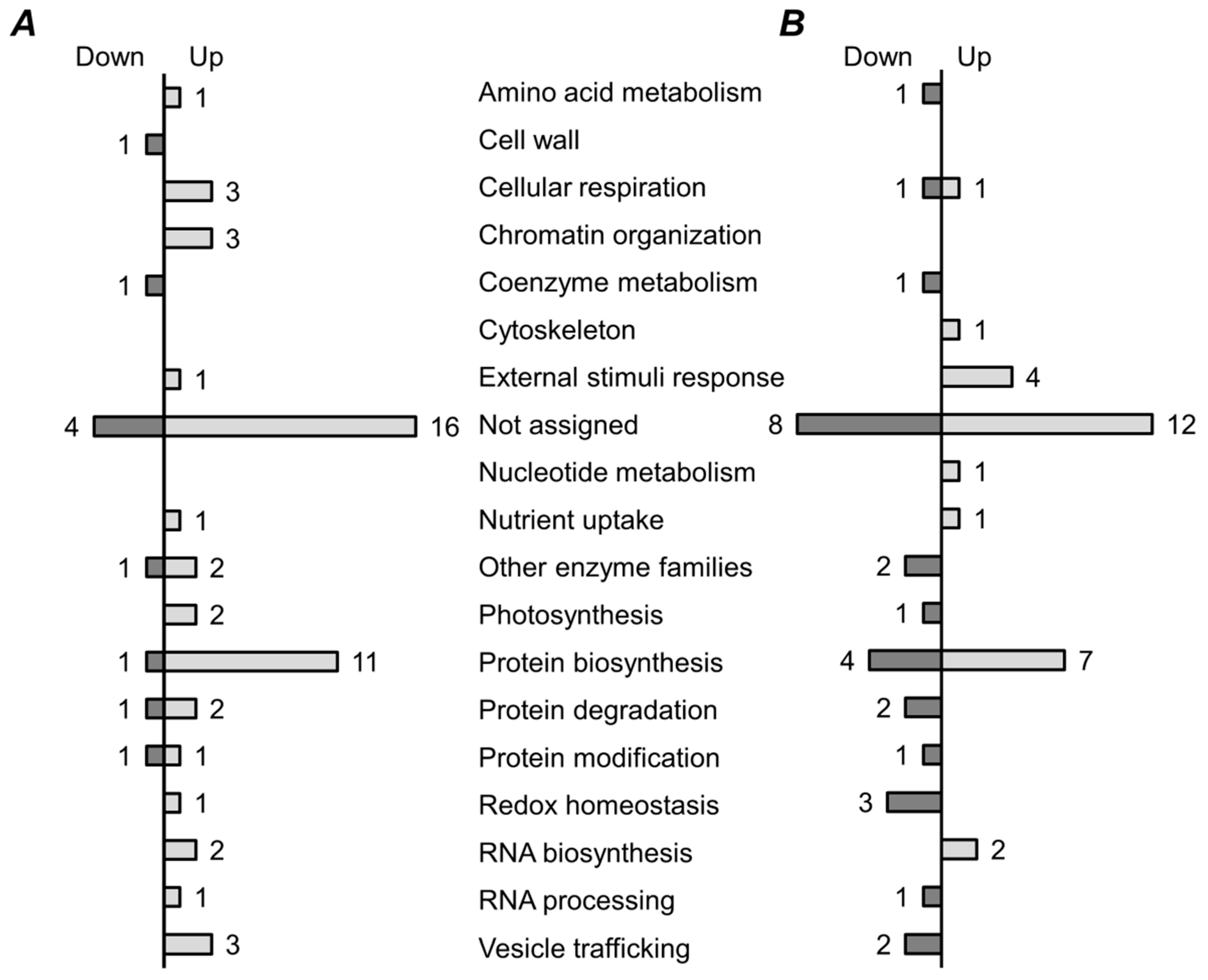 Molecules 24 01603 g004 550