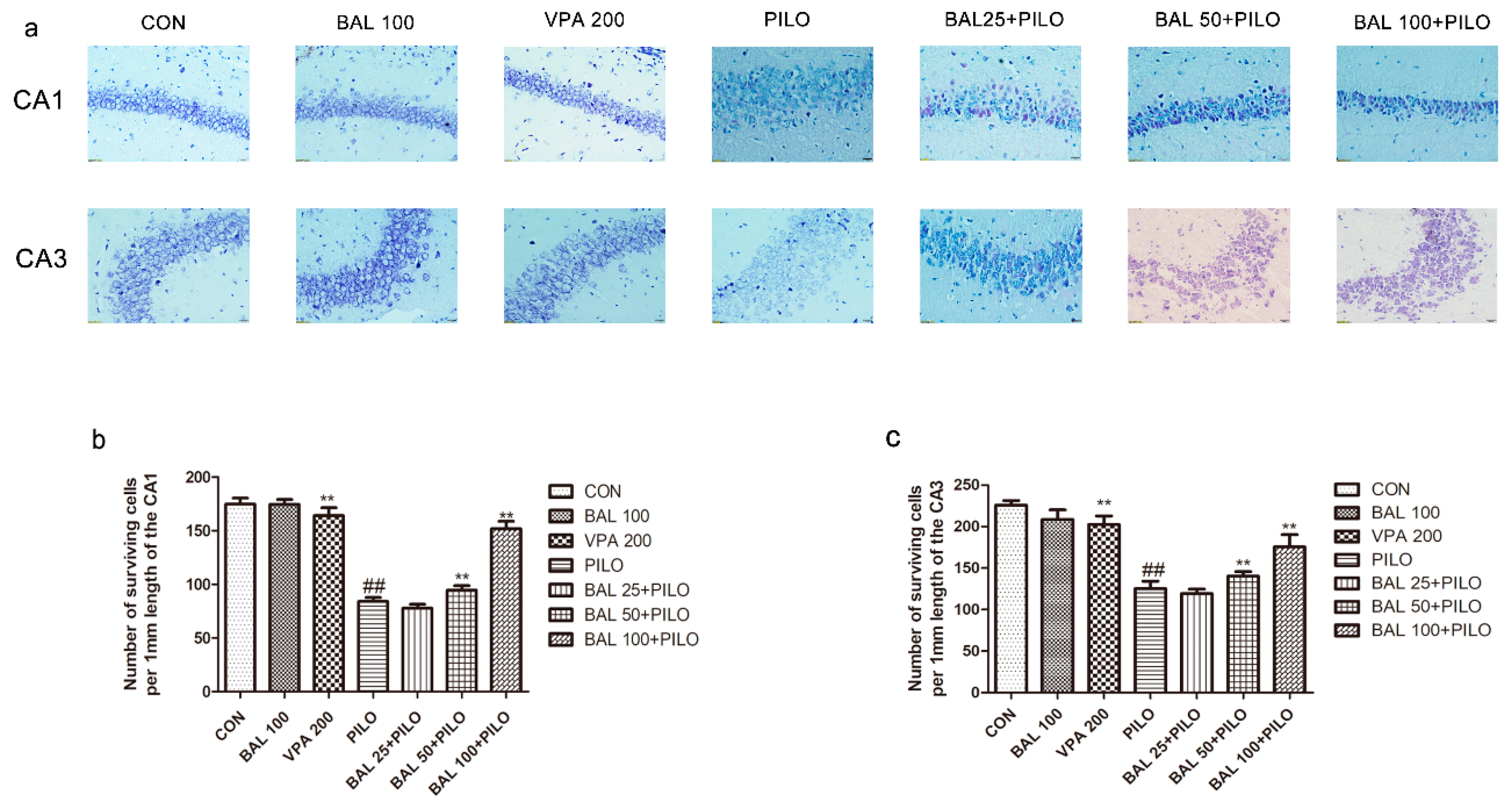 Molecules 24 01617 g004 Molecules 24 01617 g004