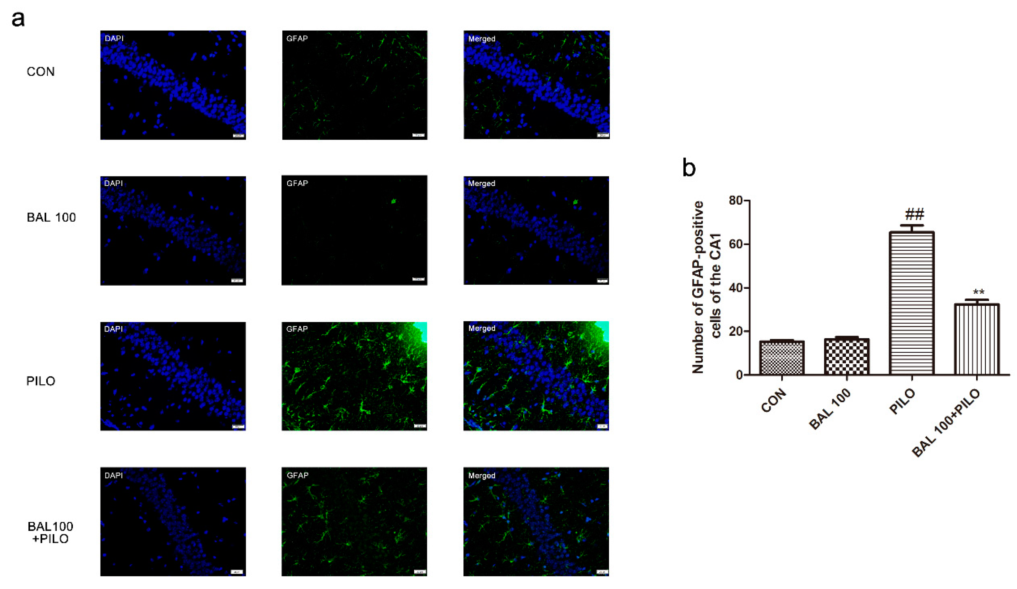 Molecules 24 01617 g005 Molecules 24 01617 g005