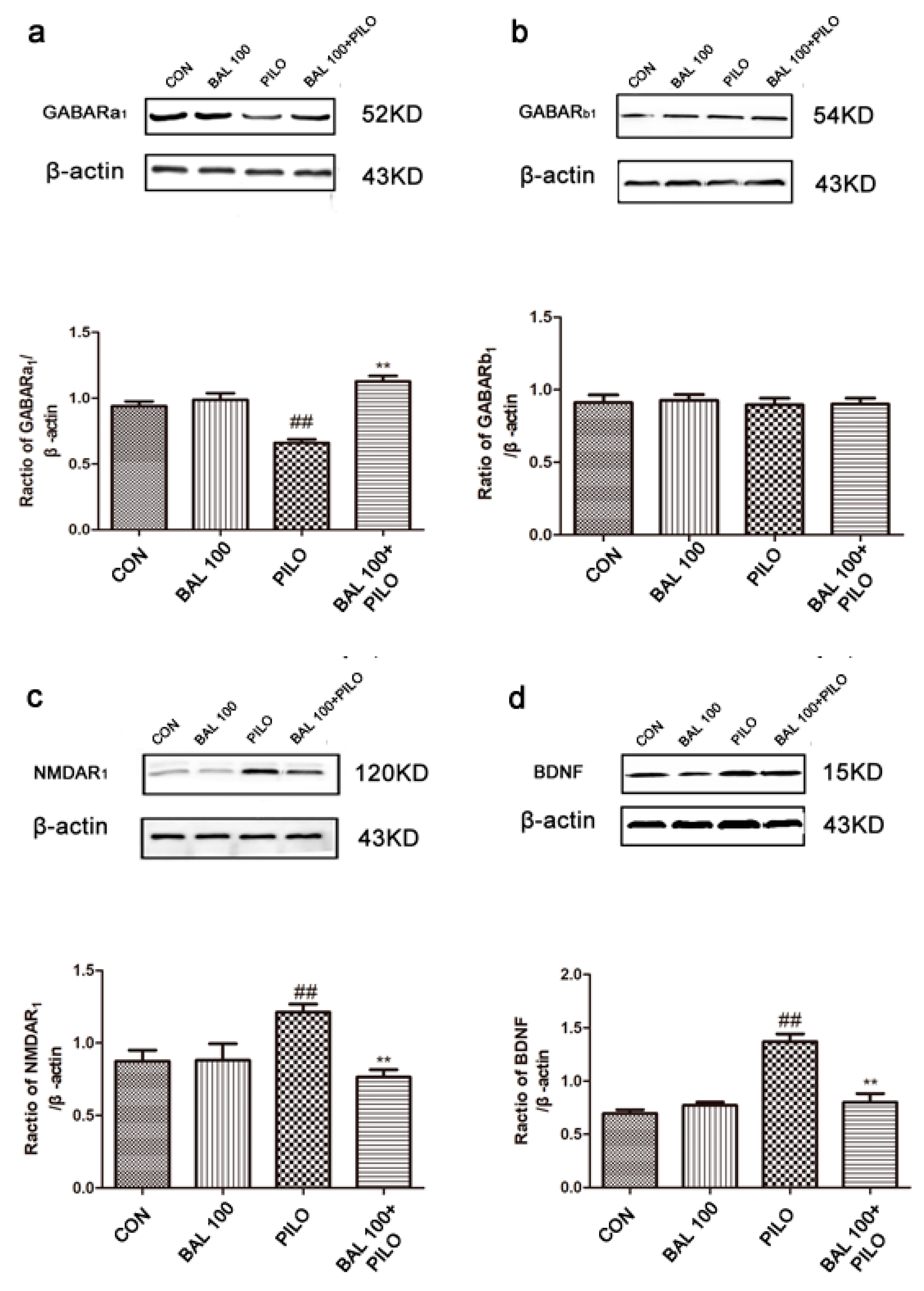Molecules 24 01617 g006a Molecules 24 01617 g006a