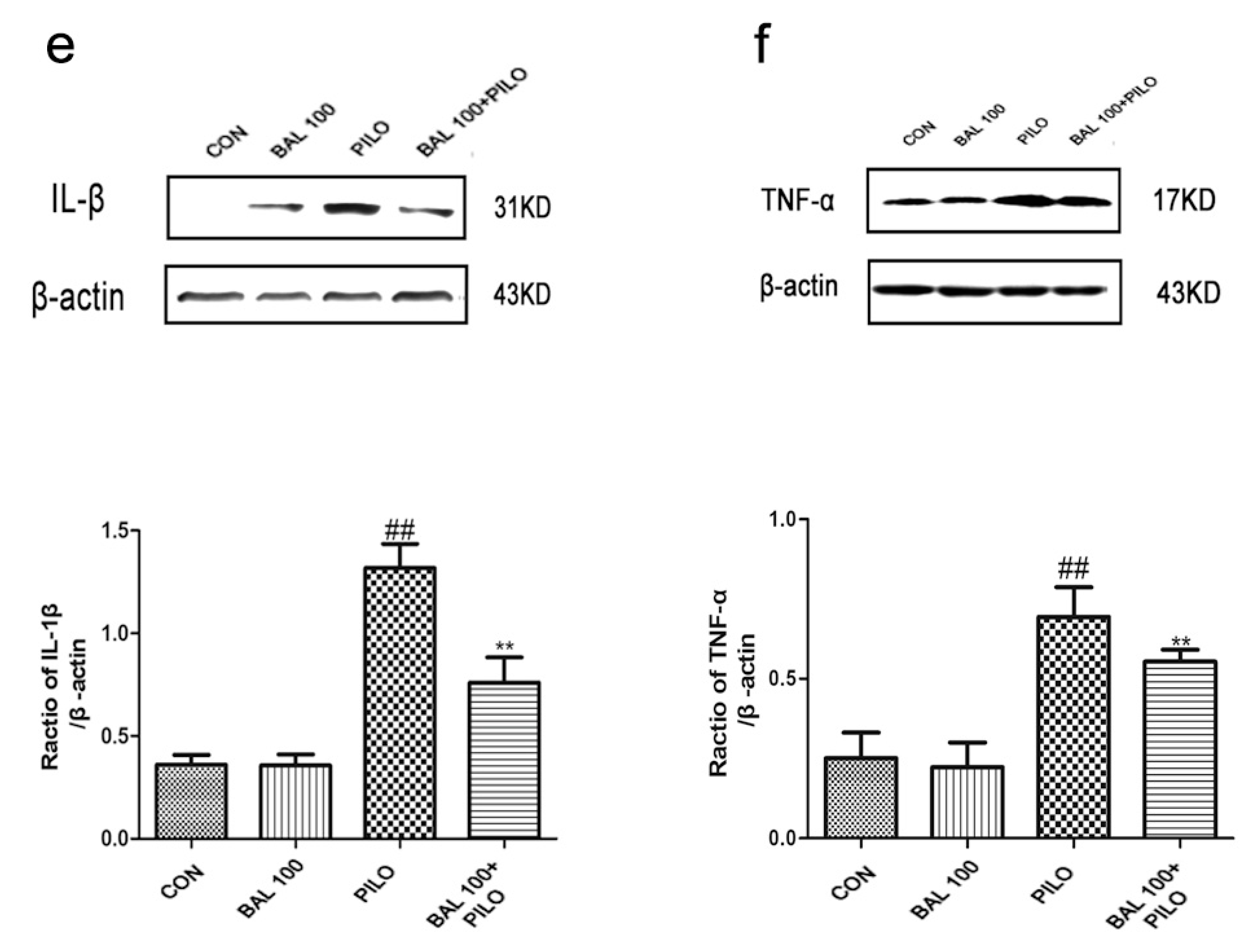 Molecules 24 01617 g006b Molecules 24 01617 g006b