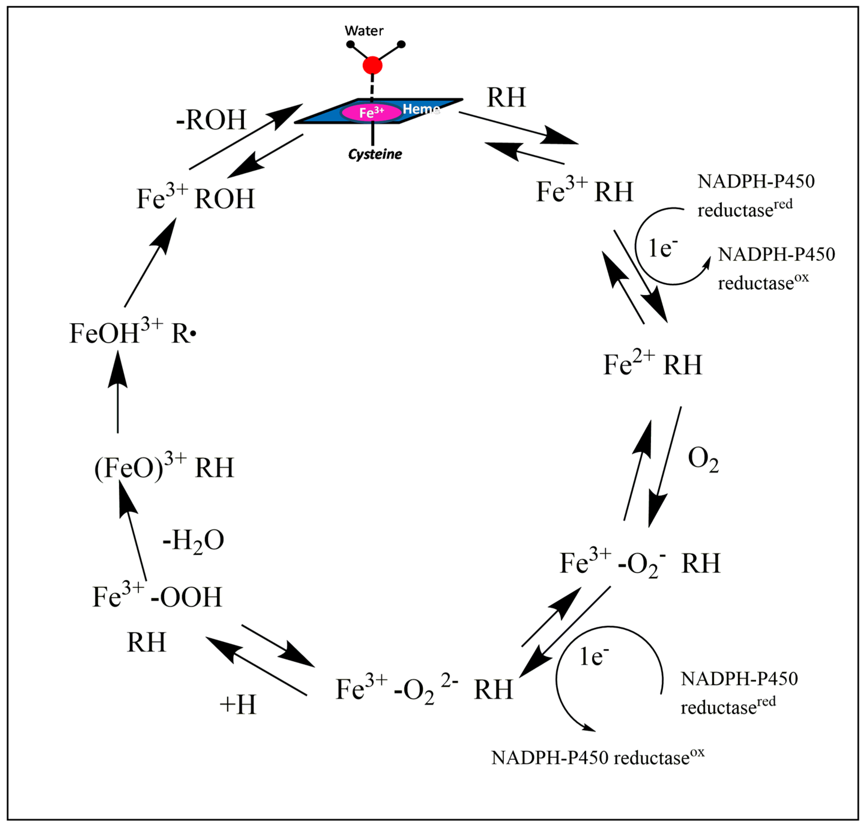 Molecules 24 01620 g001