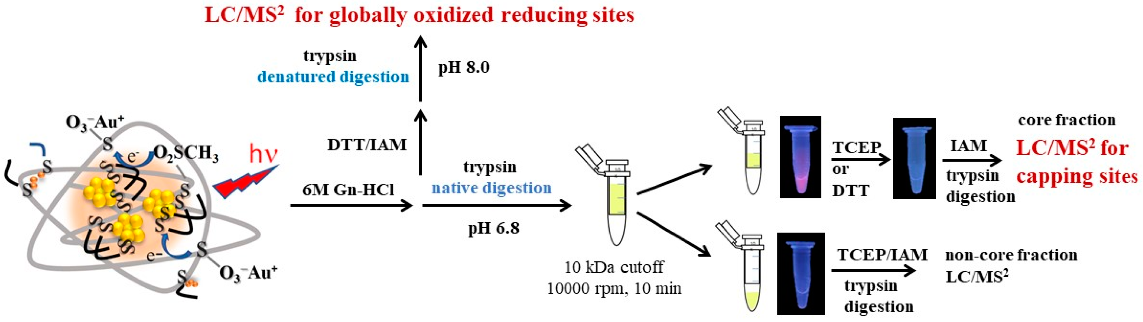 Molecules 24 01630 sch001 Molecules 24 01630 sch001
