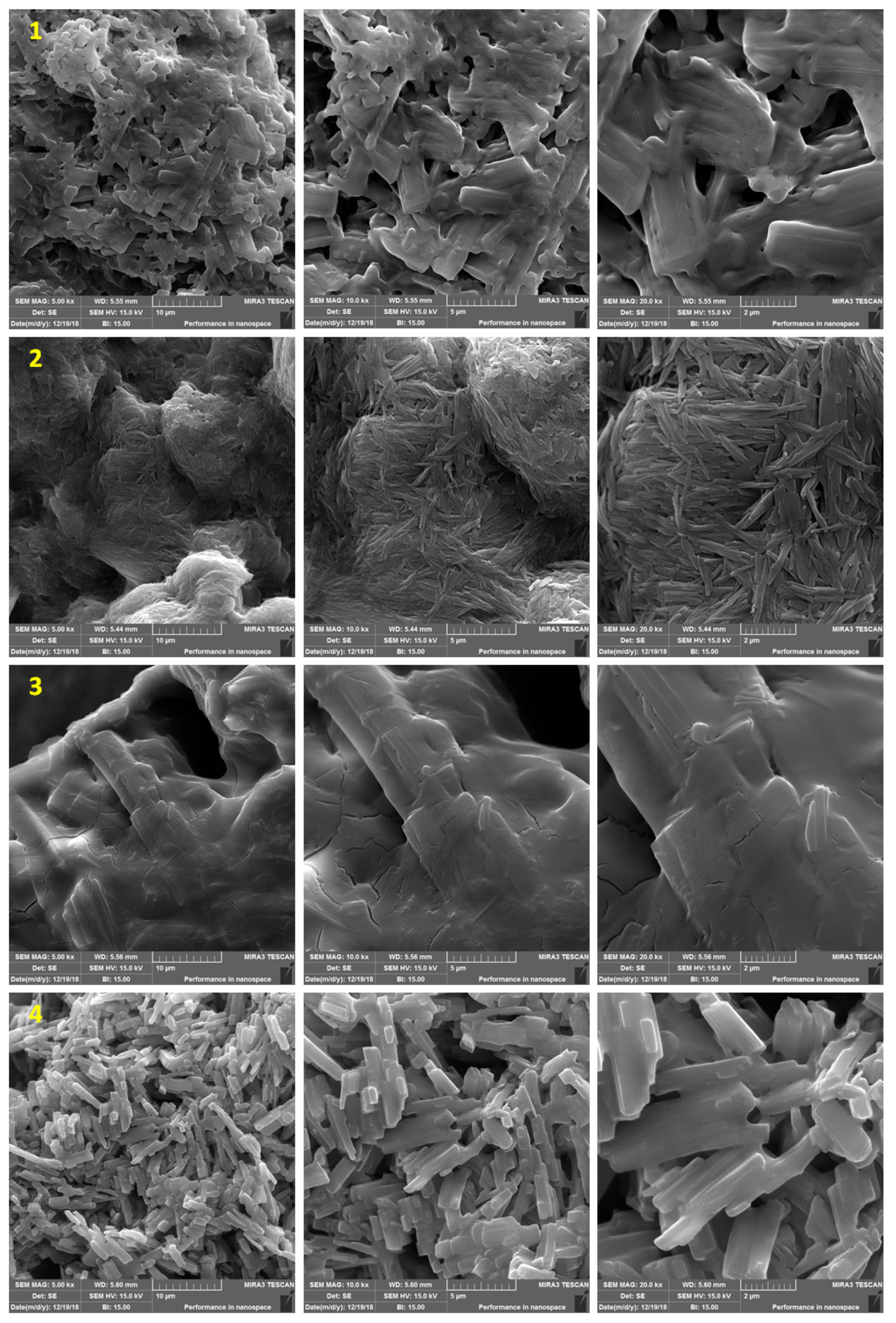 Molecules 24 01631 g003