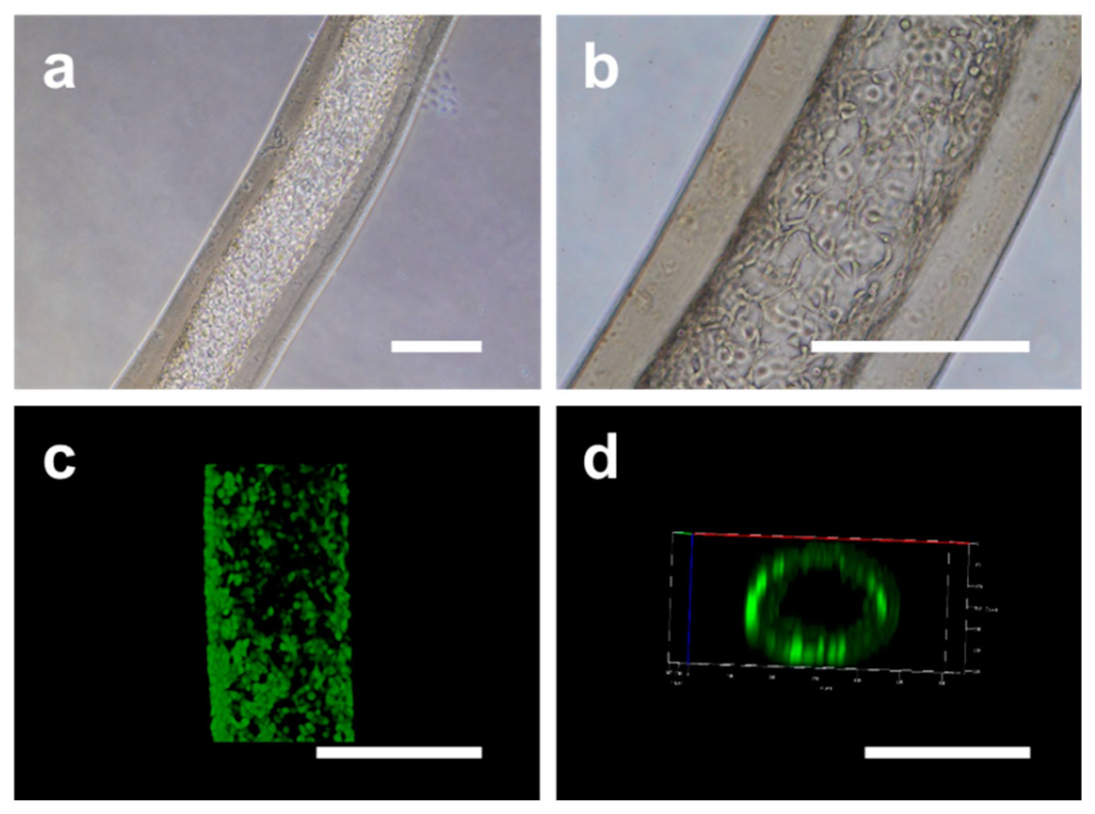 Molecules 24 01633 g008 Molecules 24 01633 g008