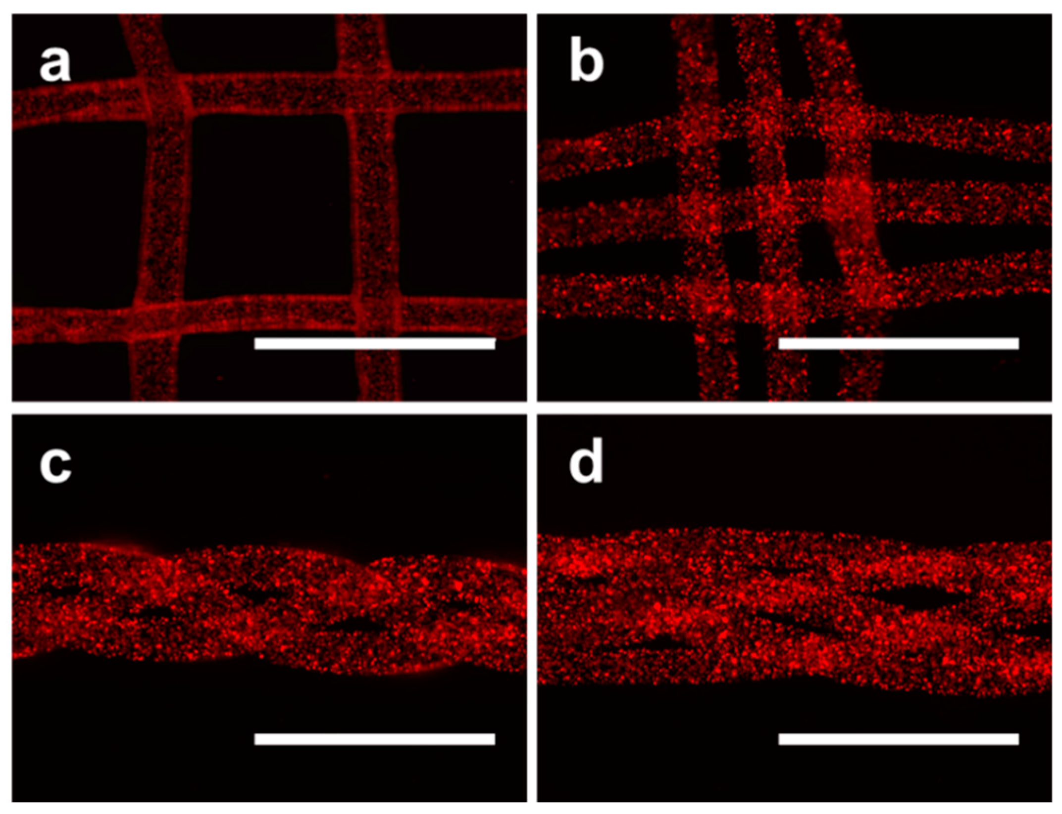 Molecules 24 01633 g009 Molecules 24 01633 g009