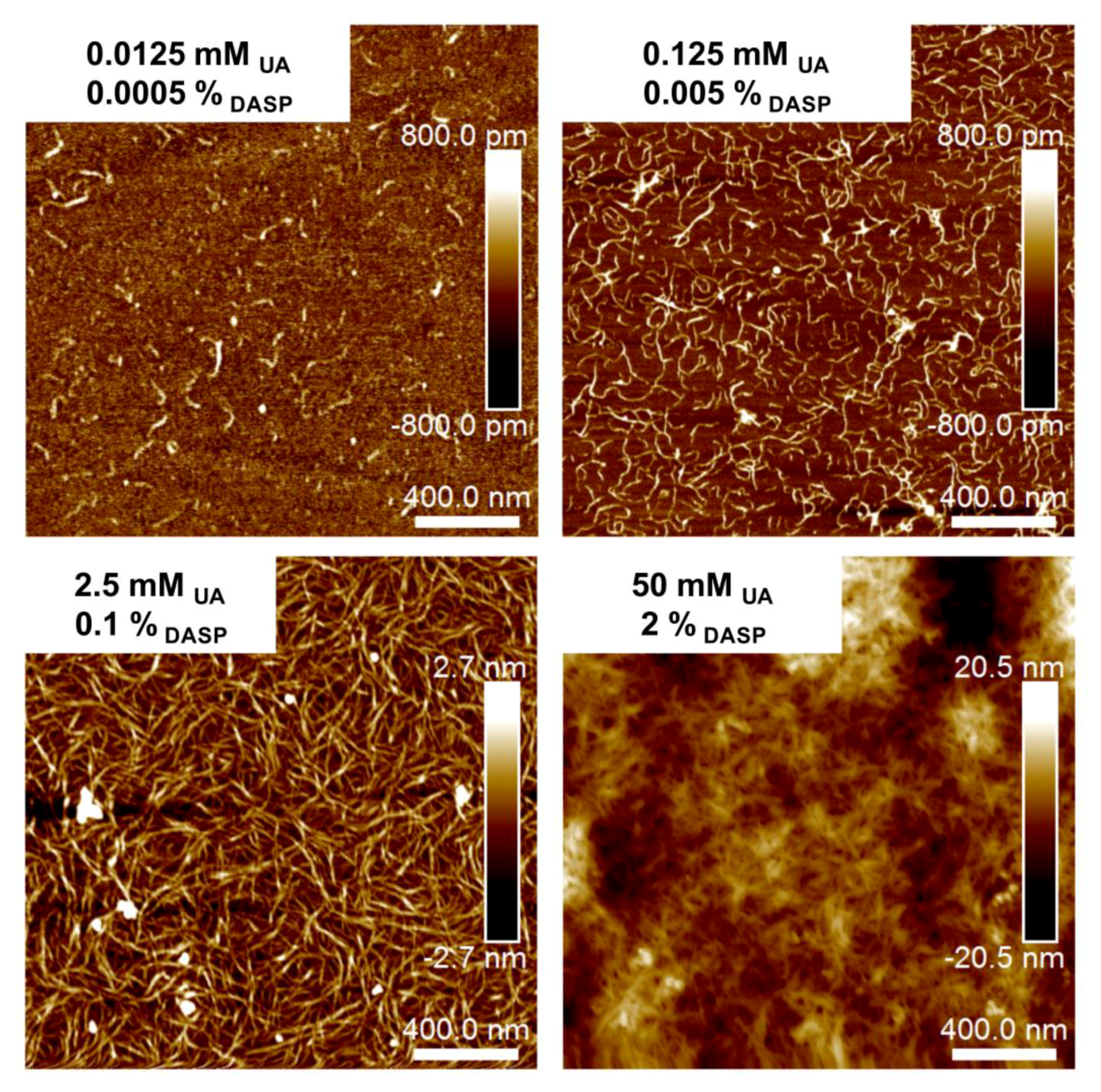 Molecules 24 01635 g001