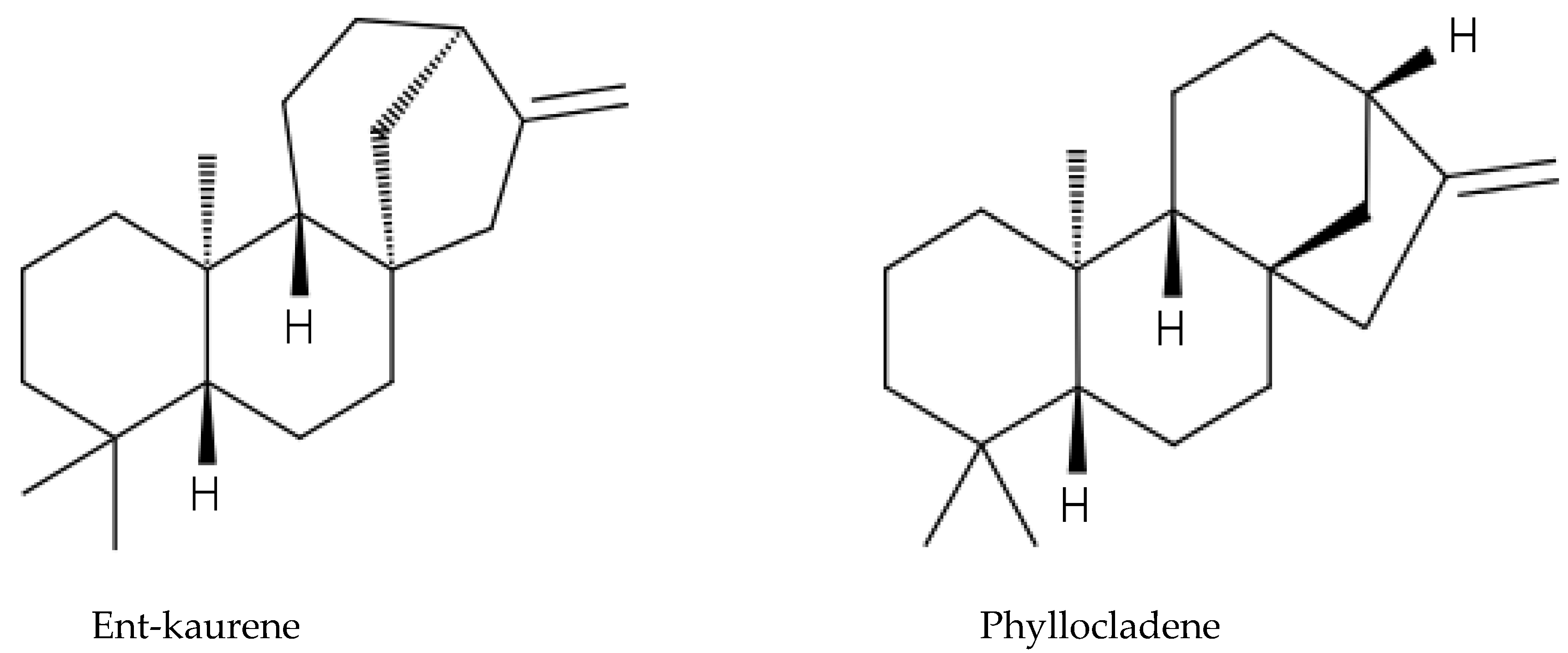 Molecules 24 01636 g014 Molecules 24 01636 g014
