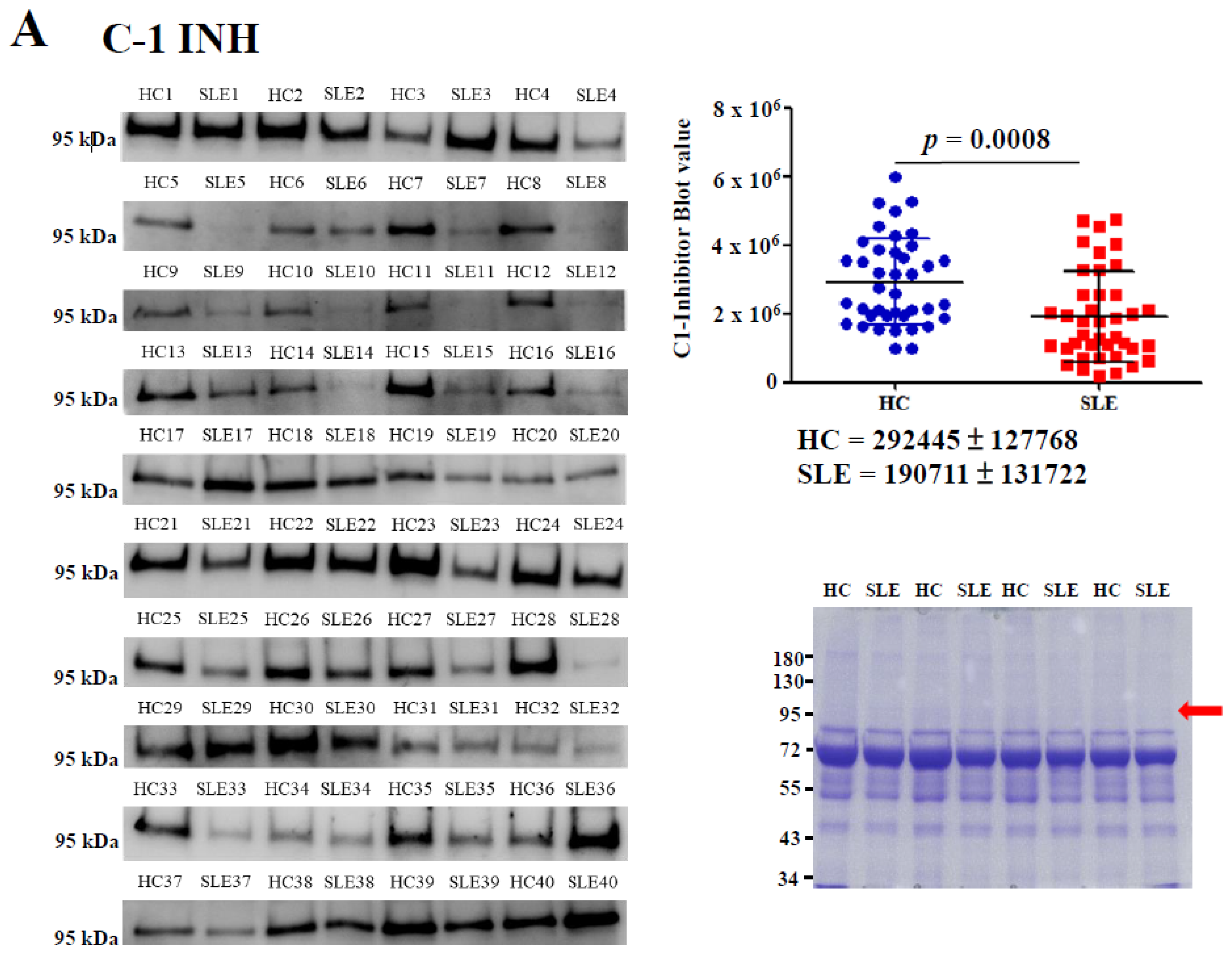 Molecules 24 01645 g003a Molecules 24 01645 g003a