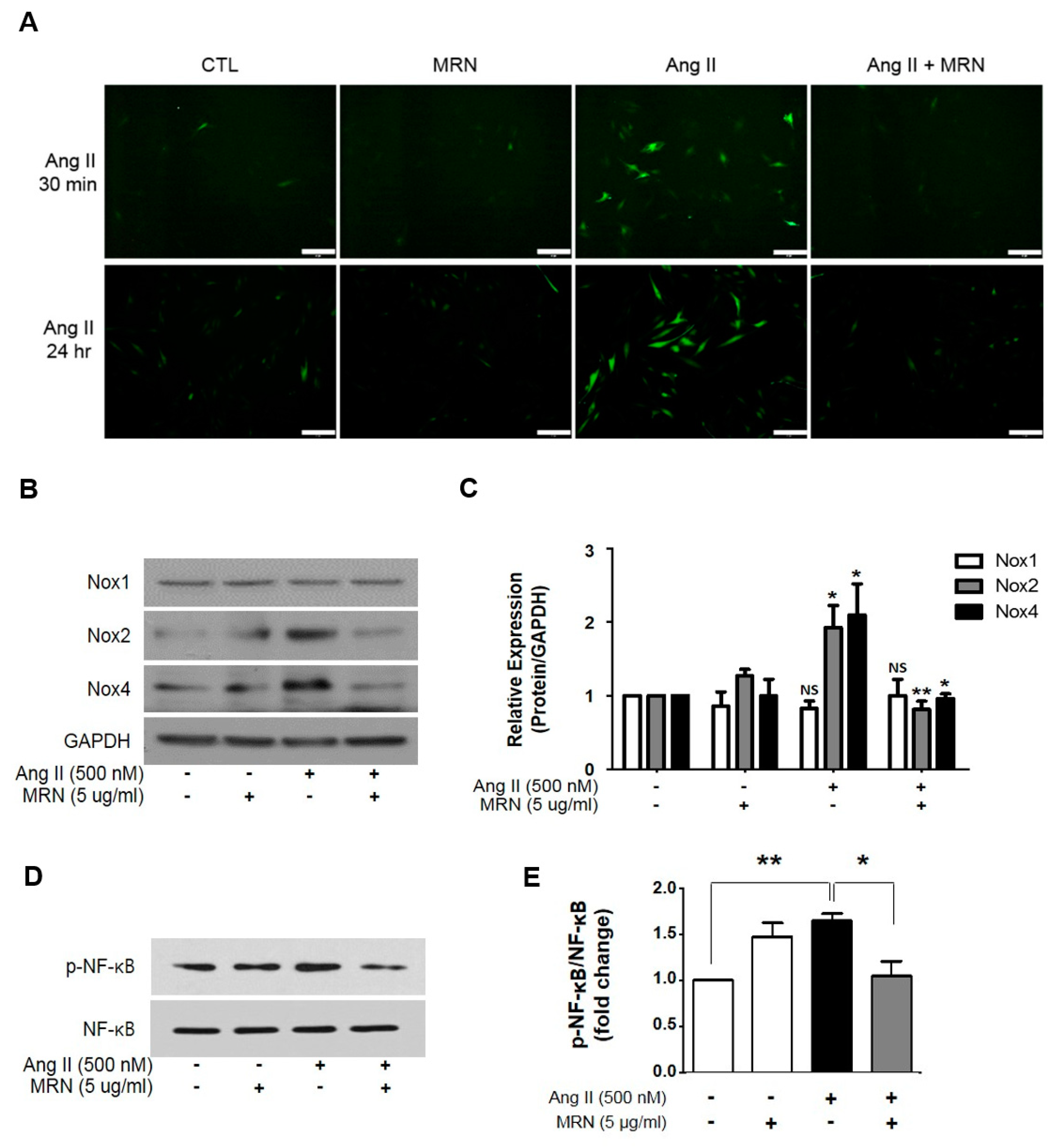Molecules 24 01647 g003 Molecules 24 01647 g003