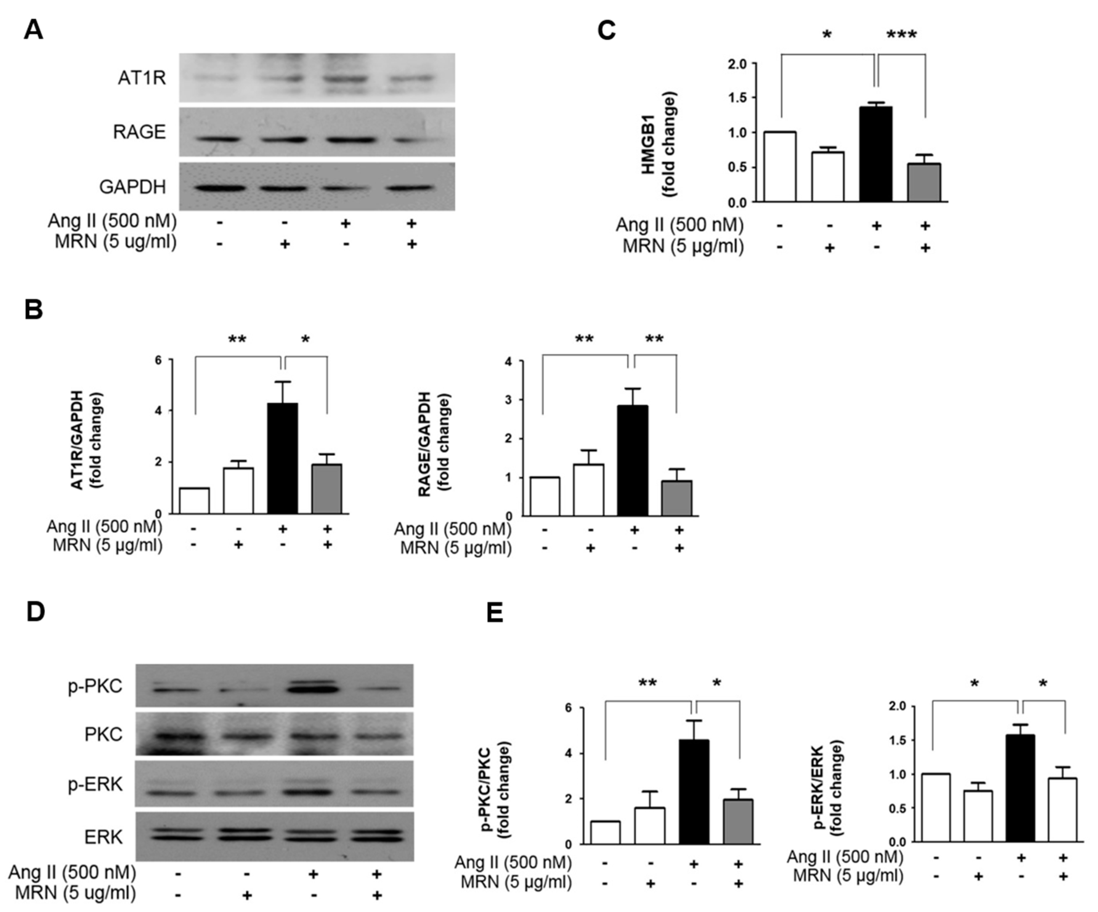 Molecules 24 01647 g004 Molecules 24 01647 g004