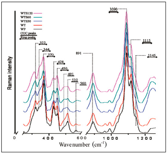 Analysis of Cellulose and Lignocellulose Materials by Raman ...
