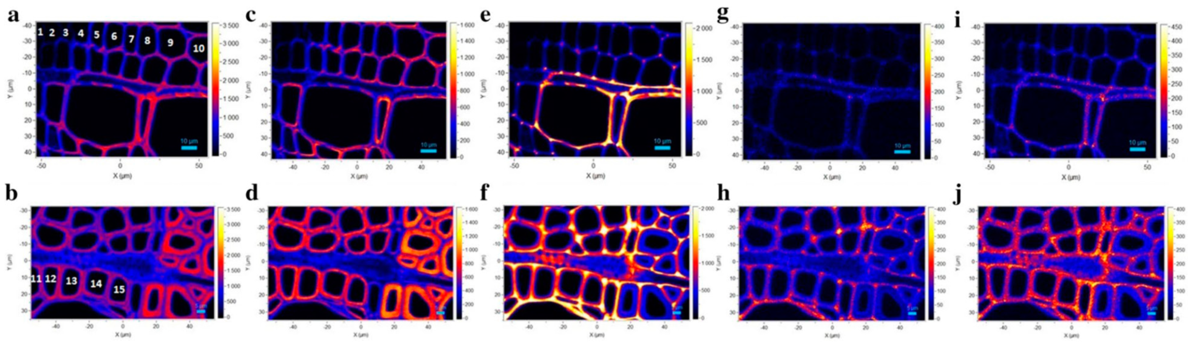 Molecules 24 01659 g005