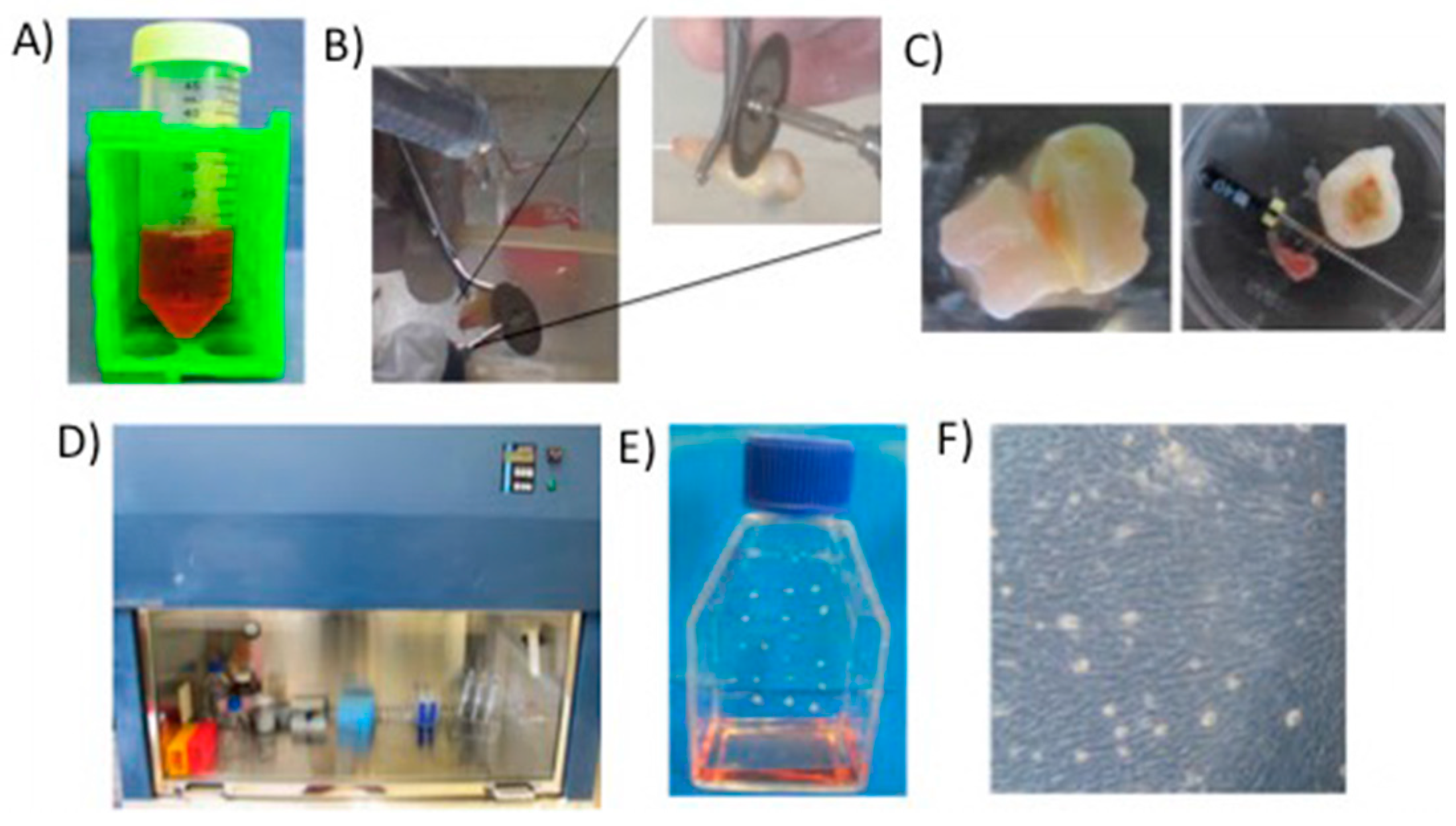 Molecules 24 01660 g001 Molecules 24 01660 g001