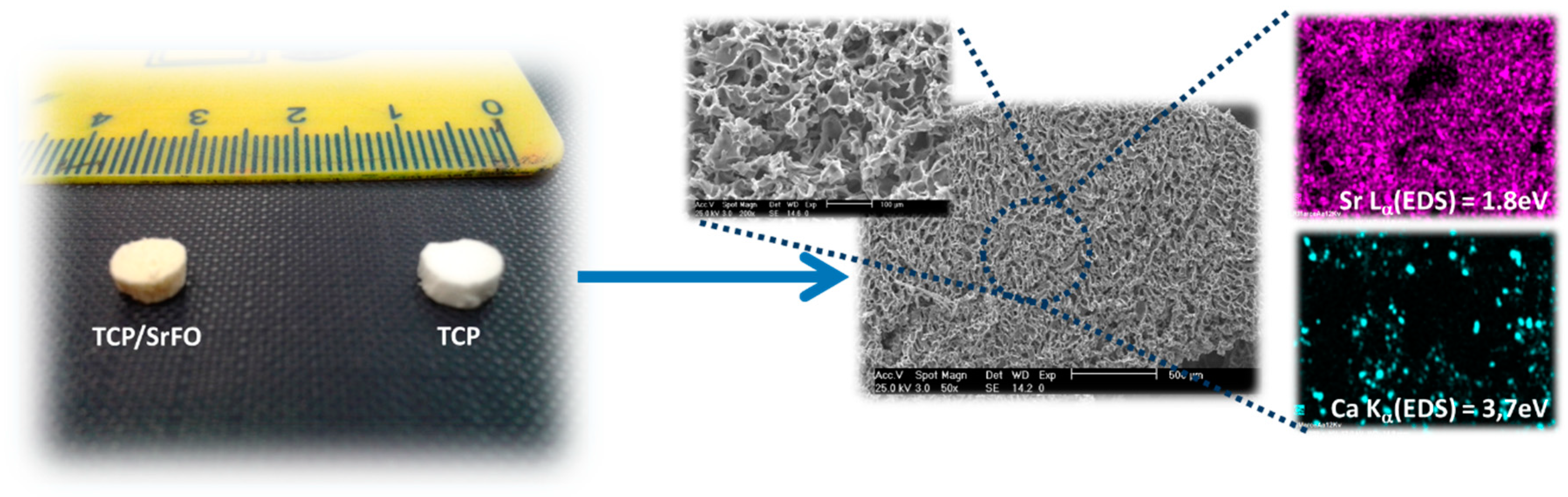 Molecules 24 01660 g006 Molecules 24 01660 g006