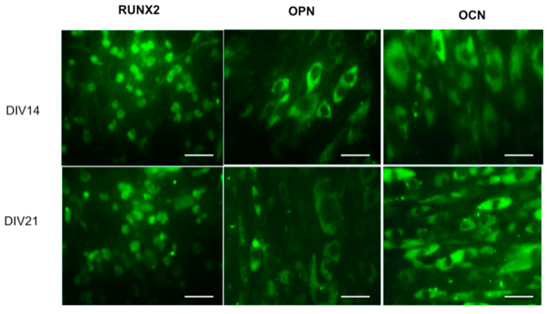 Molecules 24 01660 g008 Molecules 24 01660 g008