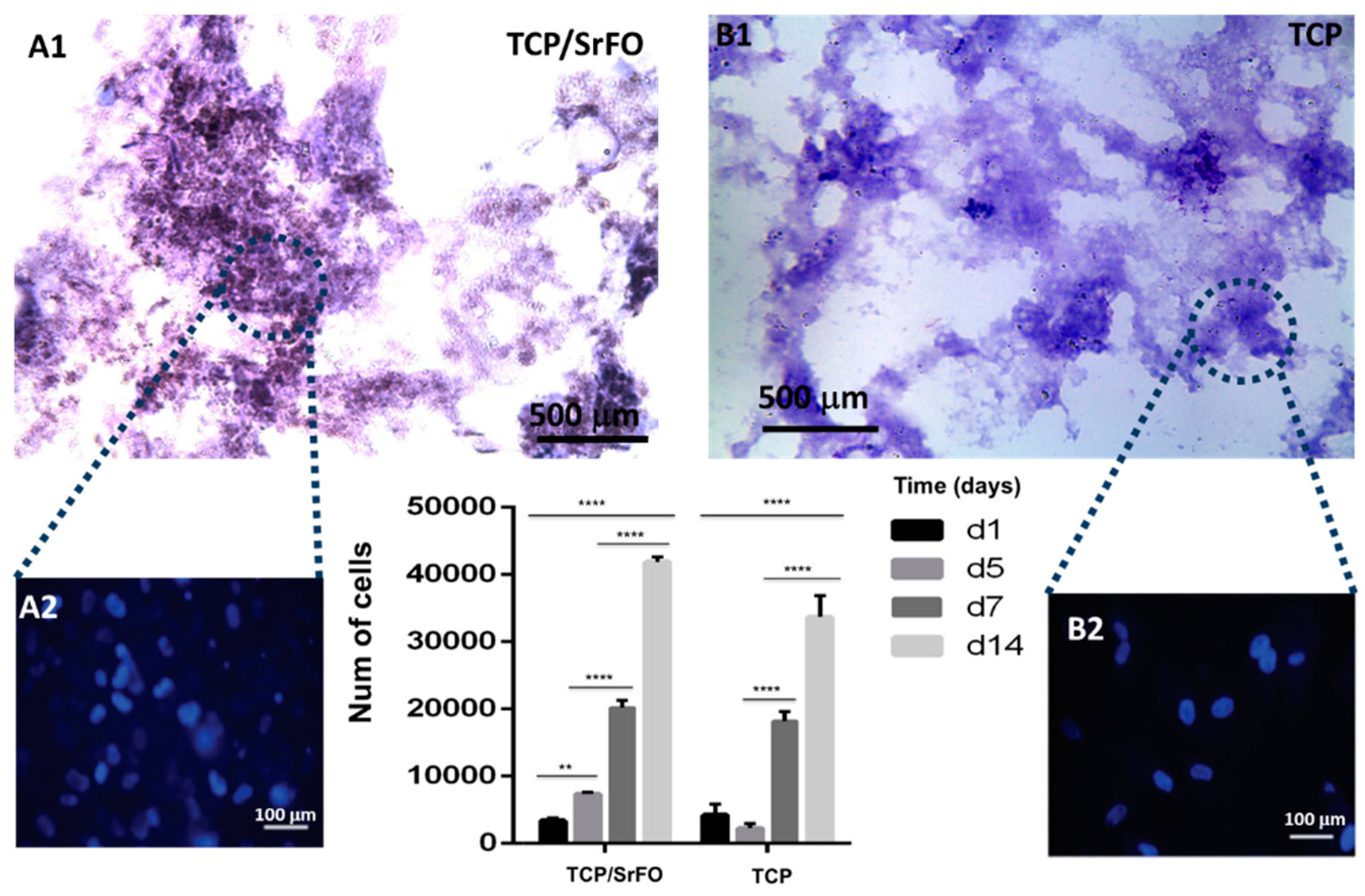 Molecules 24 01660 g009 Molecules 24 01660 g009