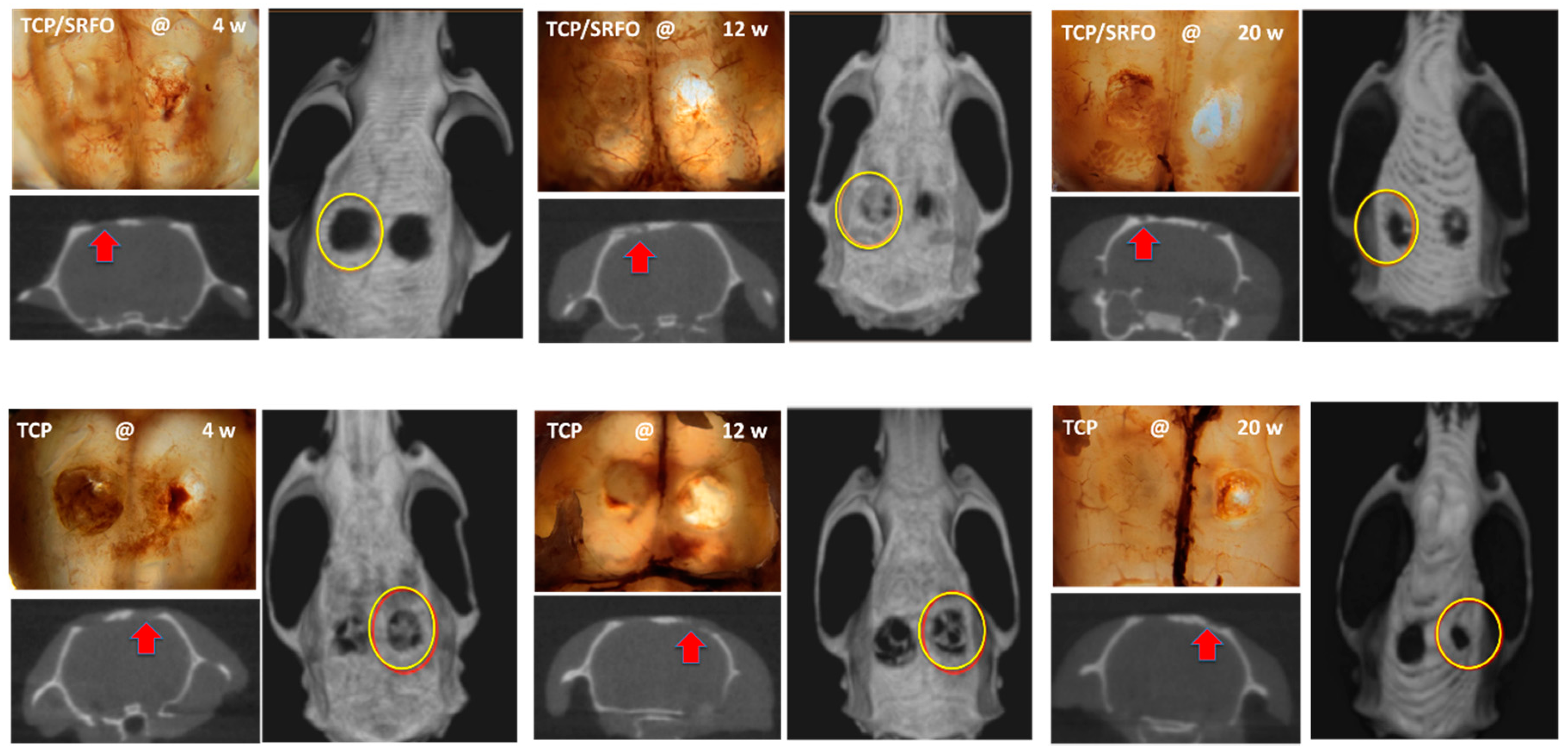 Molecules 24 01660 g011 Molecules 24 01660 g011