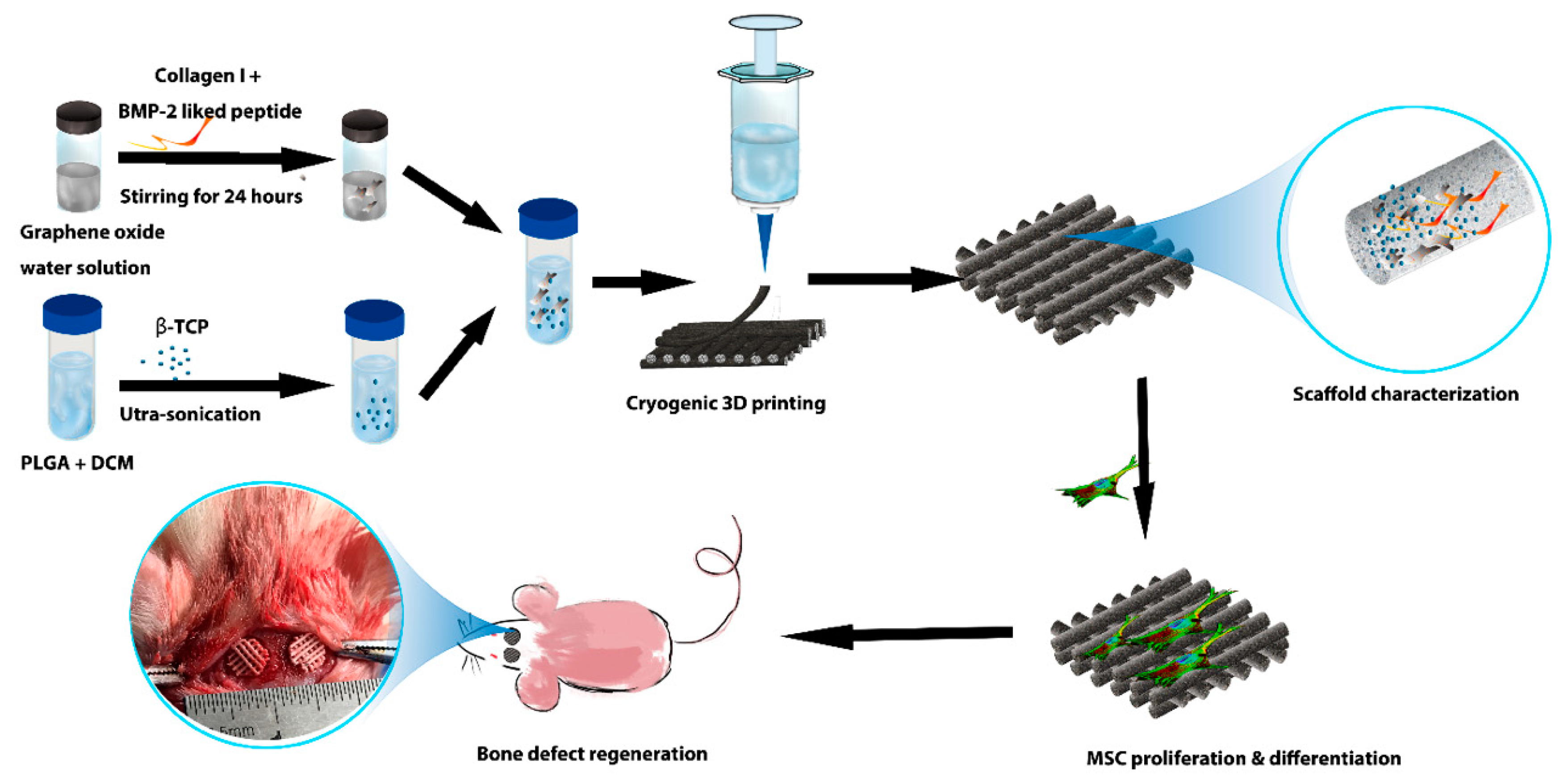Molecules 24 01669 g001 550
