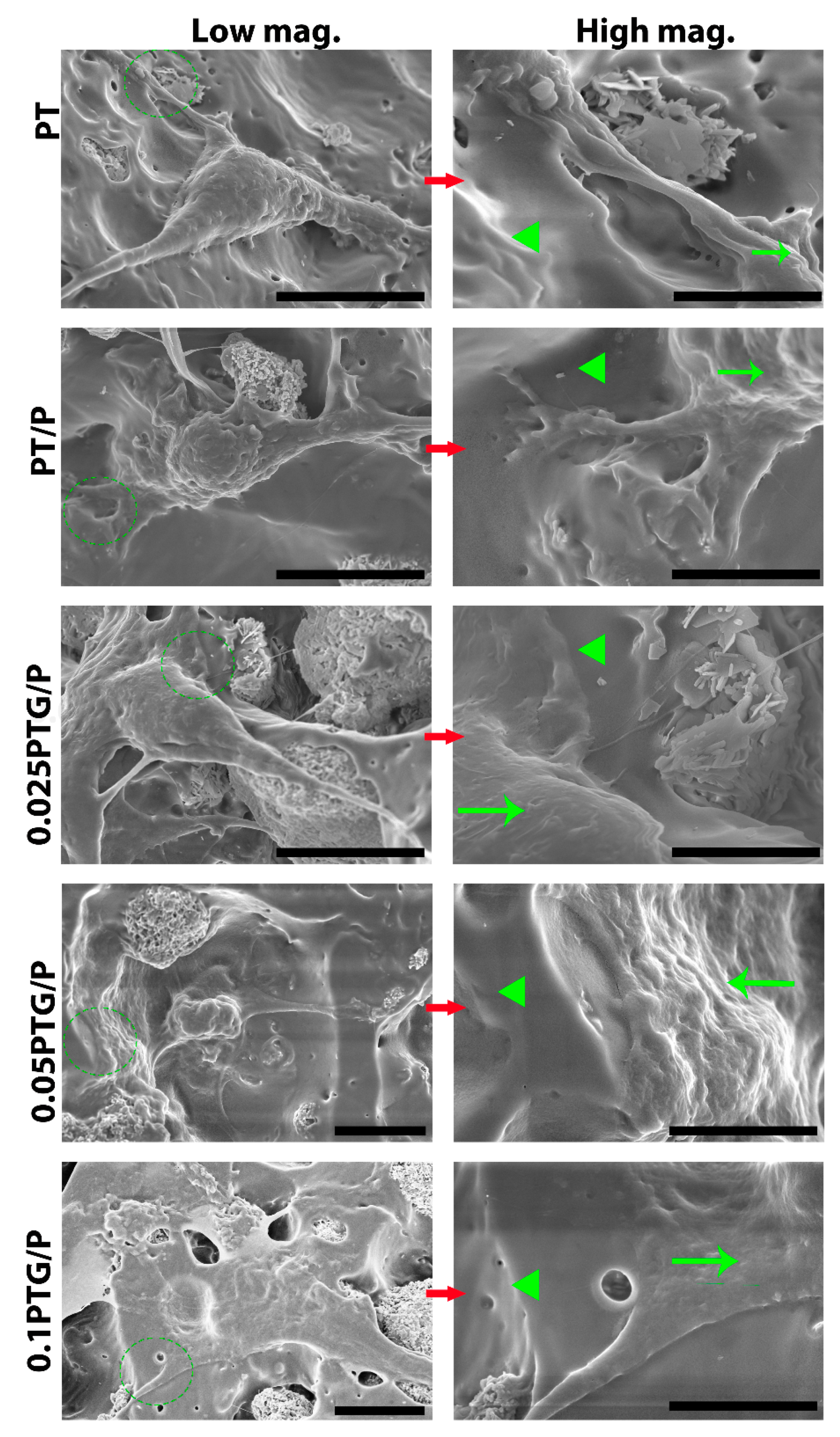 Molecules 24 01669 g007 550