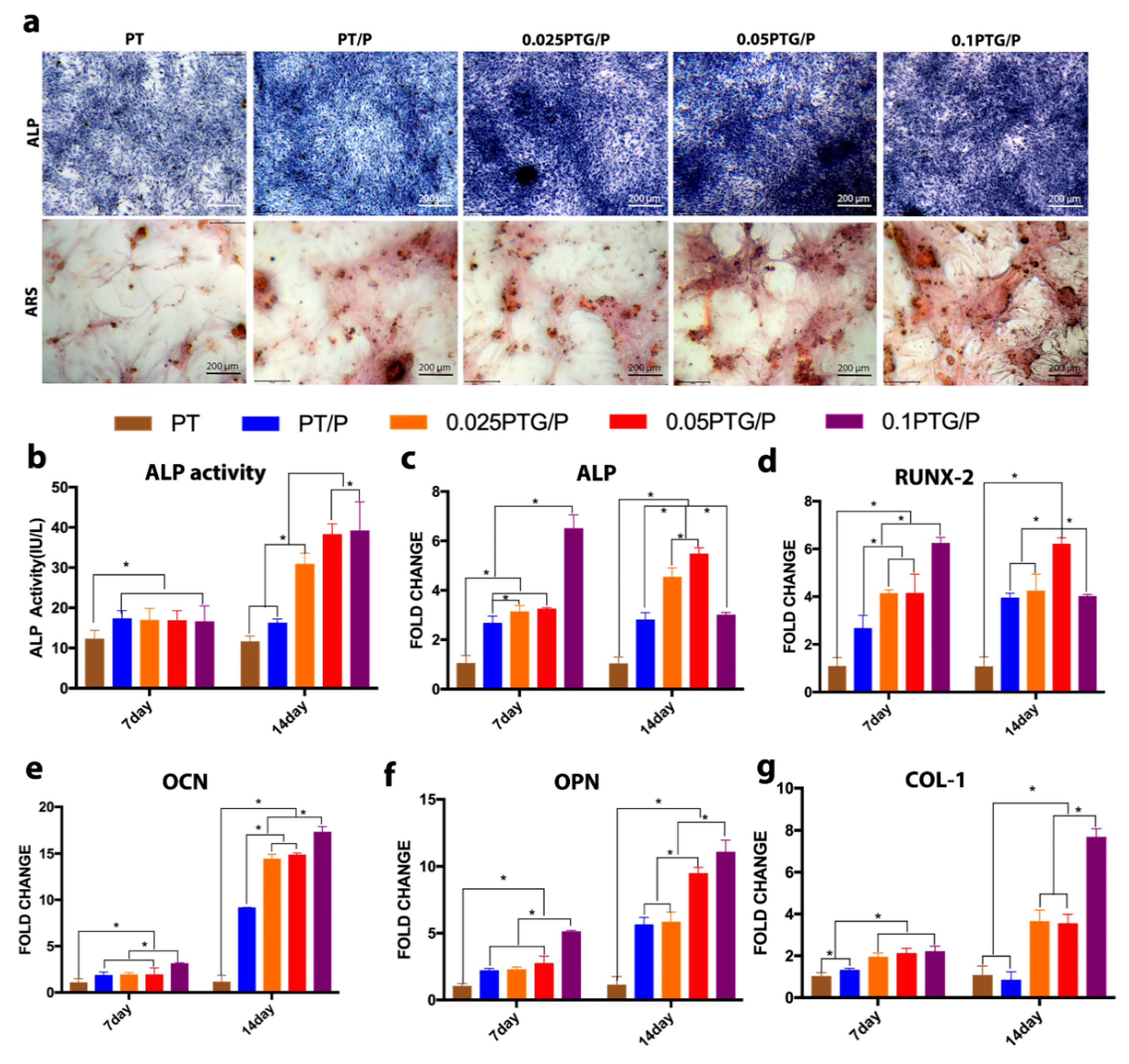 Molecules 24 01669 g008 550