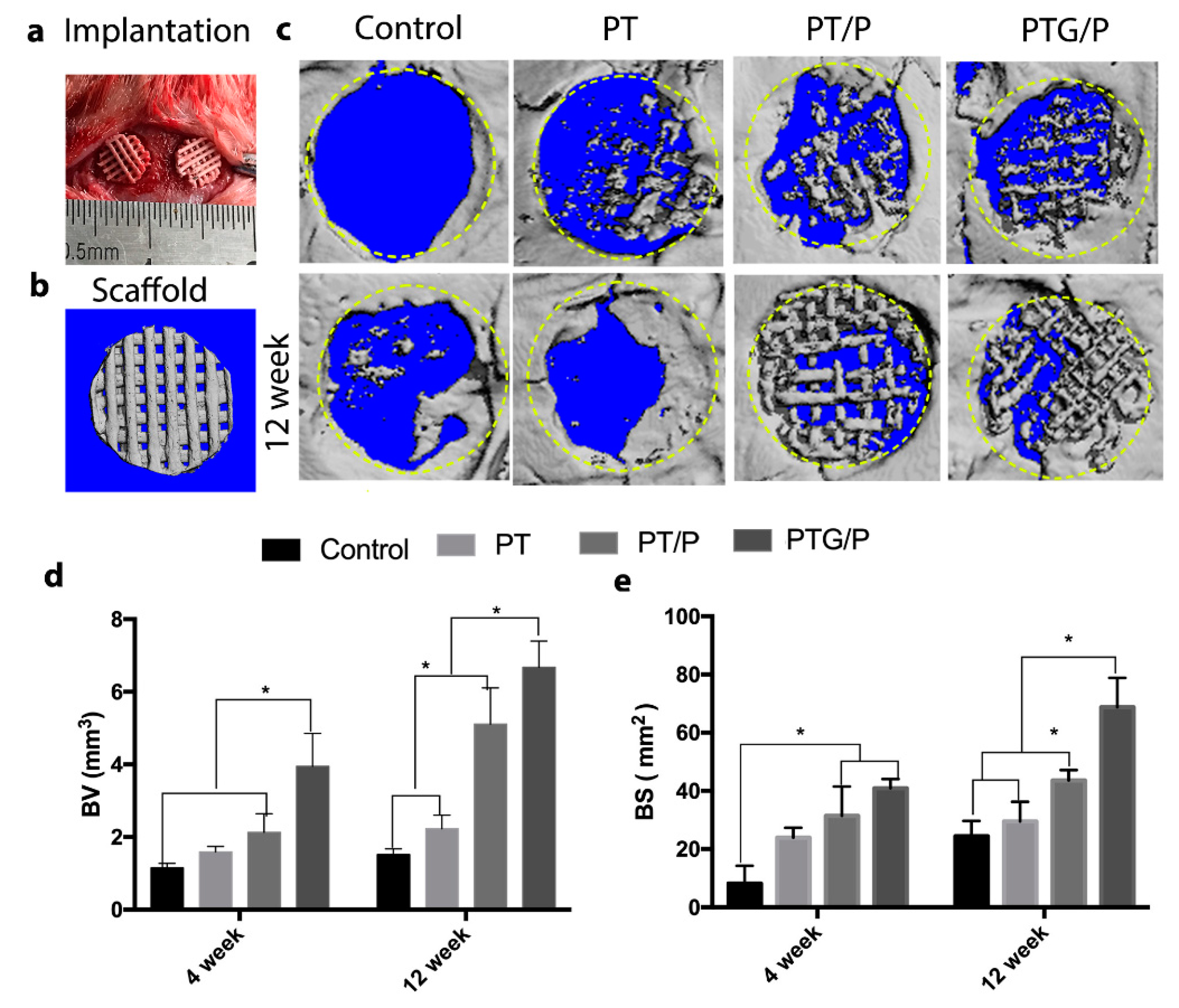 Molecules 24 01669 g009 550