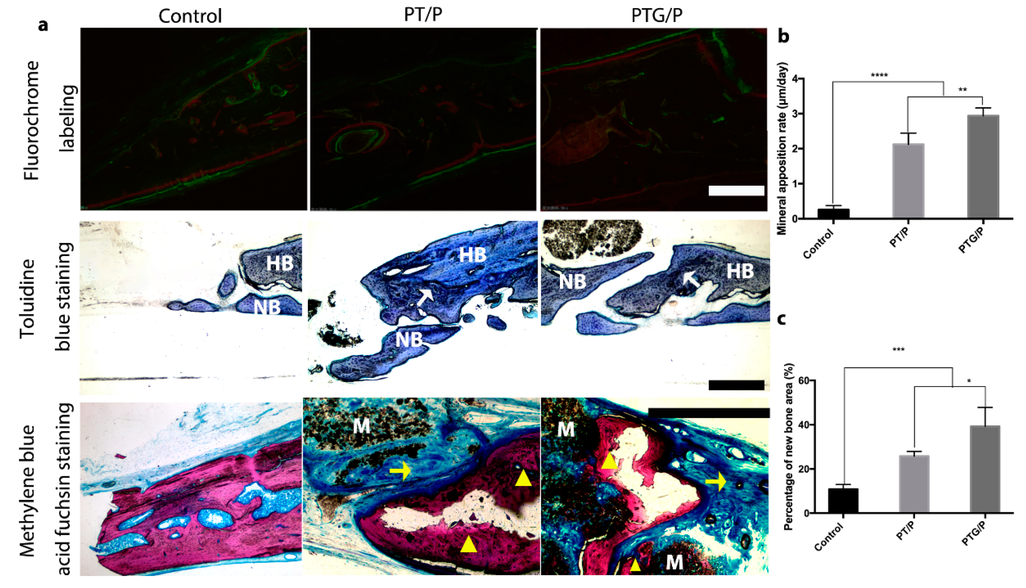 Molecules 24 01669 g010 550