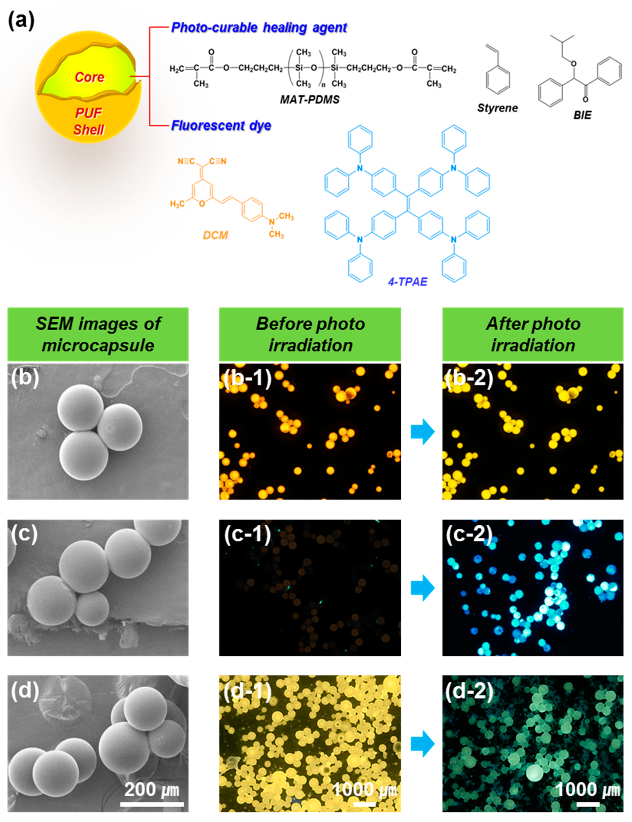Molecules 24 01679 g004
