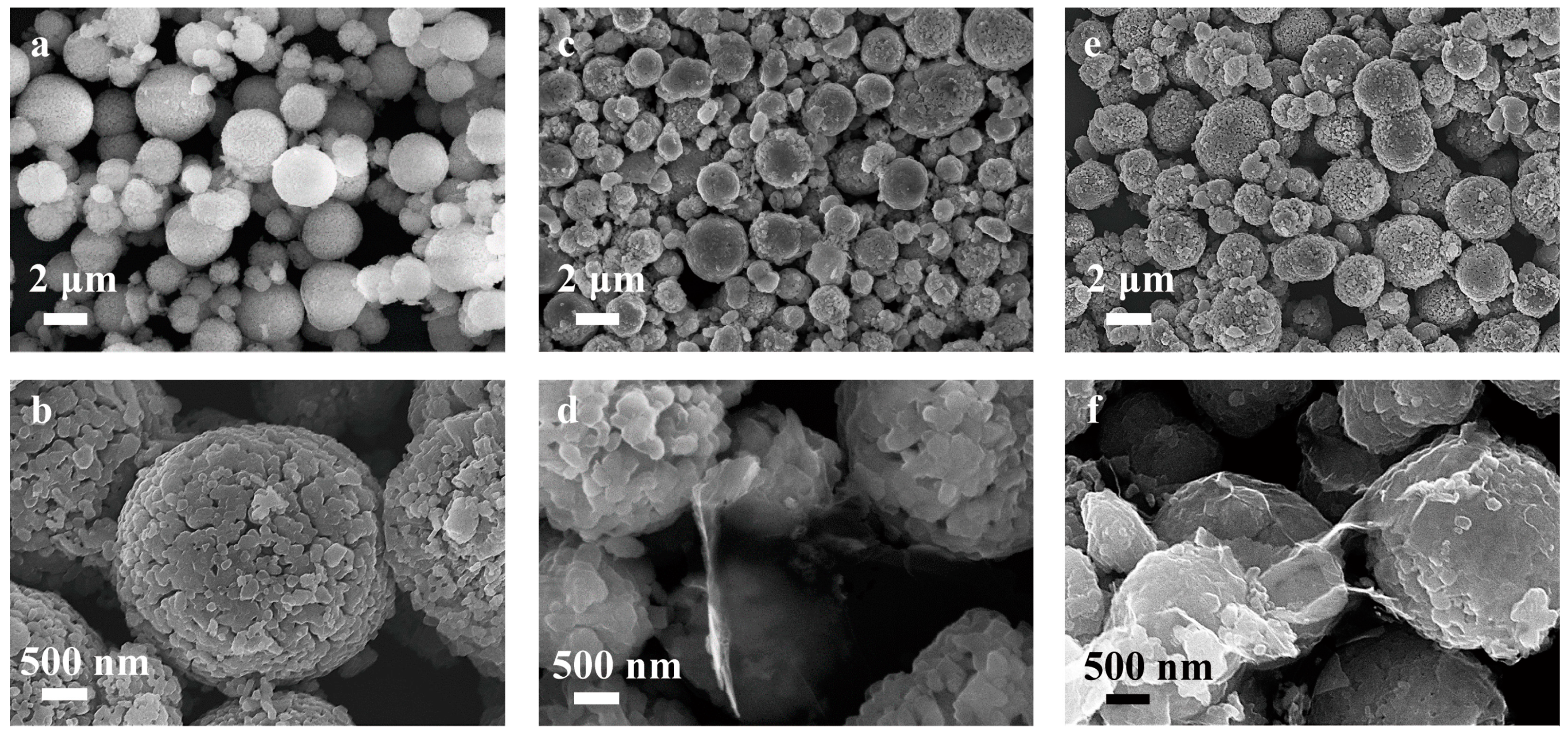 Molecules 24 01680 g004 Molecules 24 01680 g004