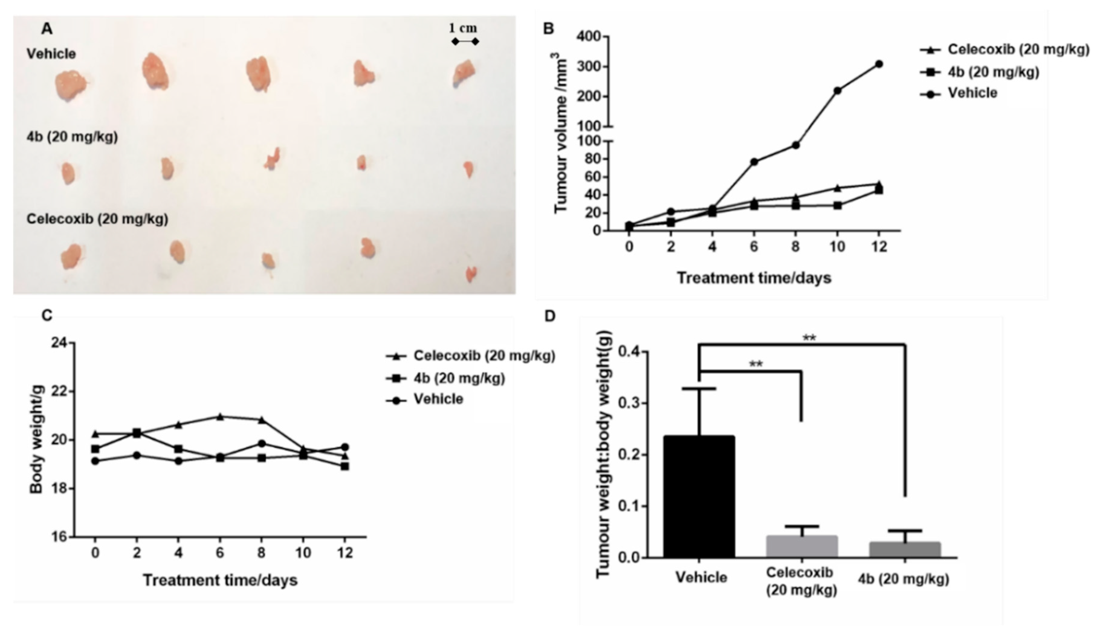 Molecules 24 01685 g005