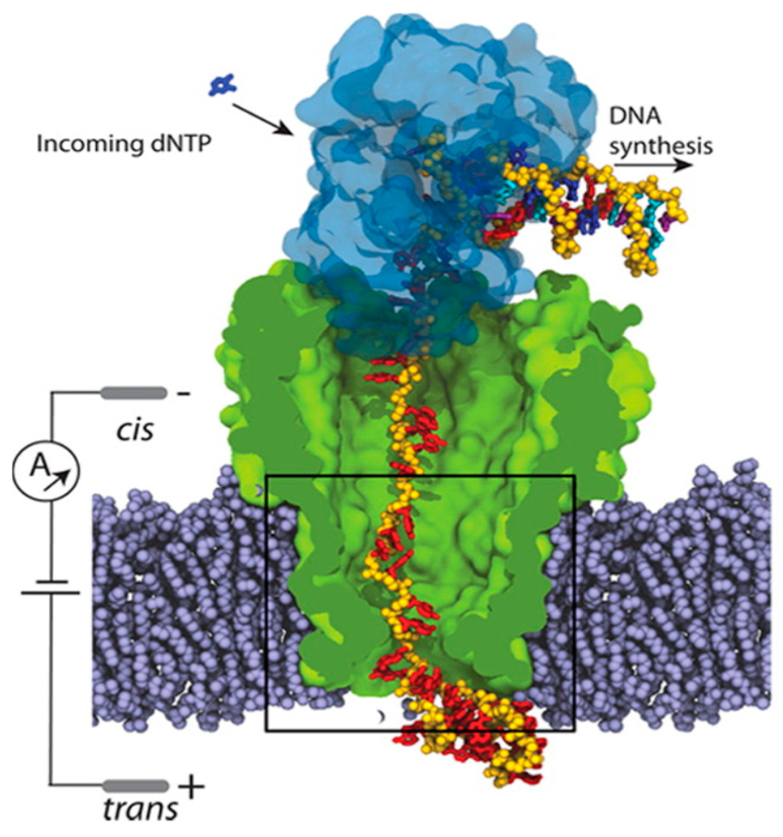 Molecules Free FullText An Overview of Molecular Modeling for Drug