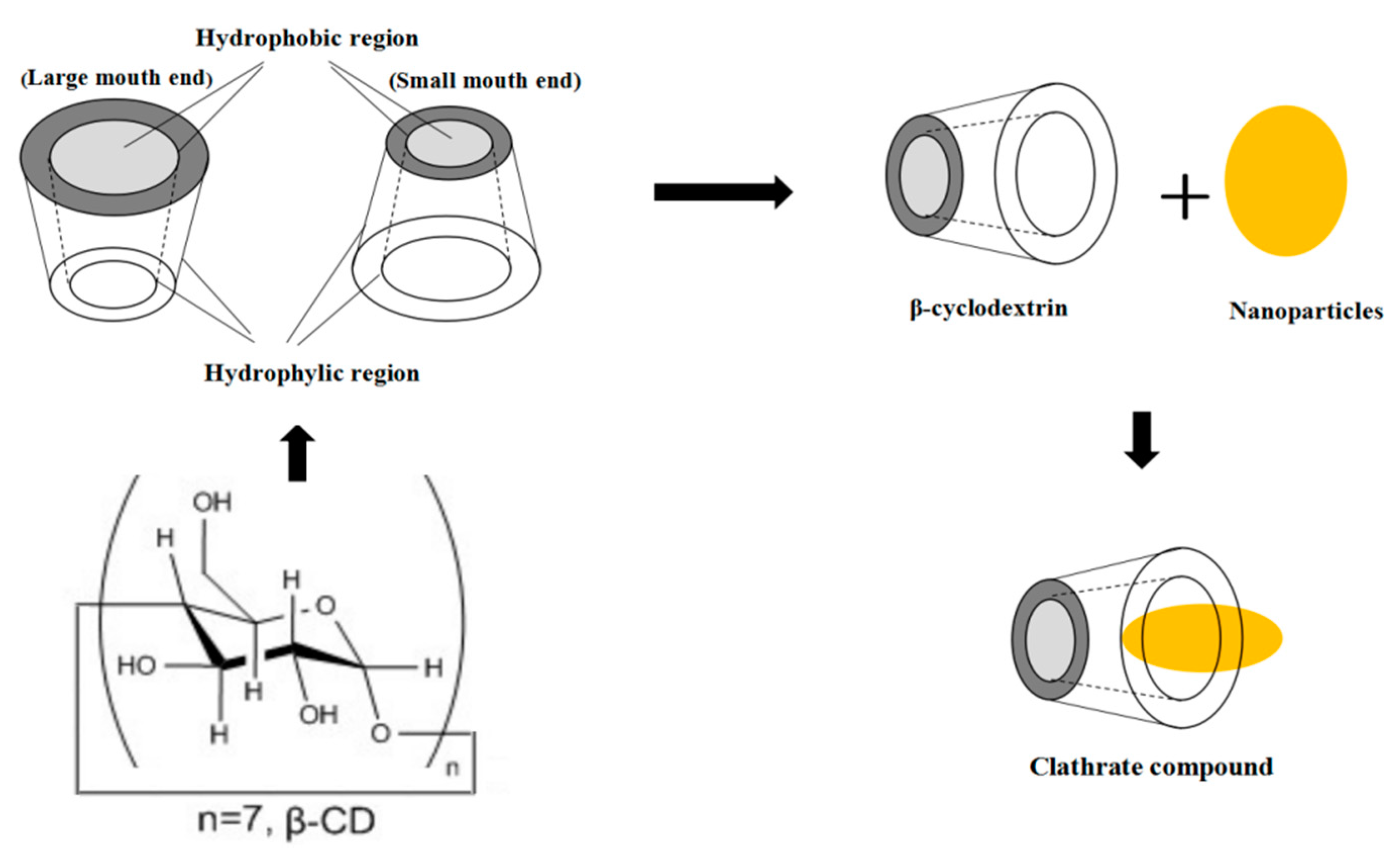 Molecules 24 01695 g002 Molecules 24 01695 g002