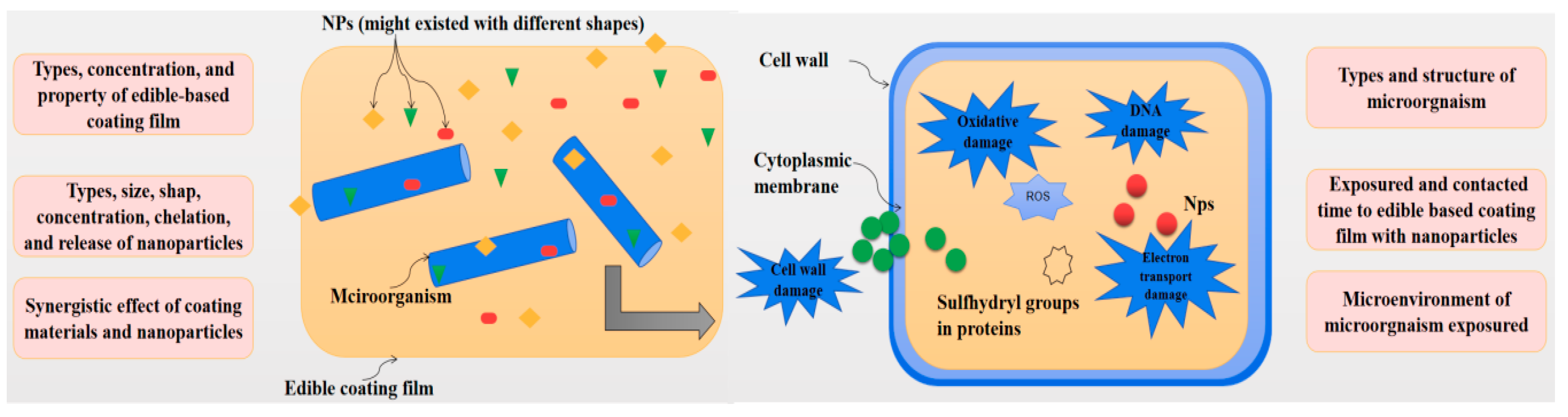 Molecules 24 01695 g004 Molecules 24 01695 g004