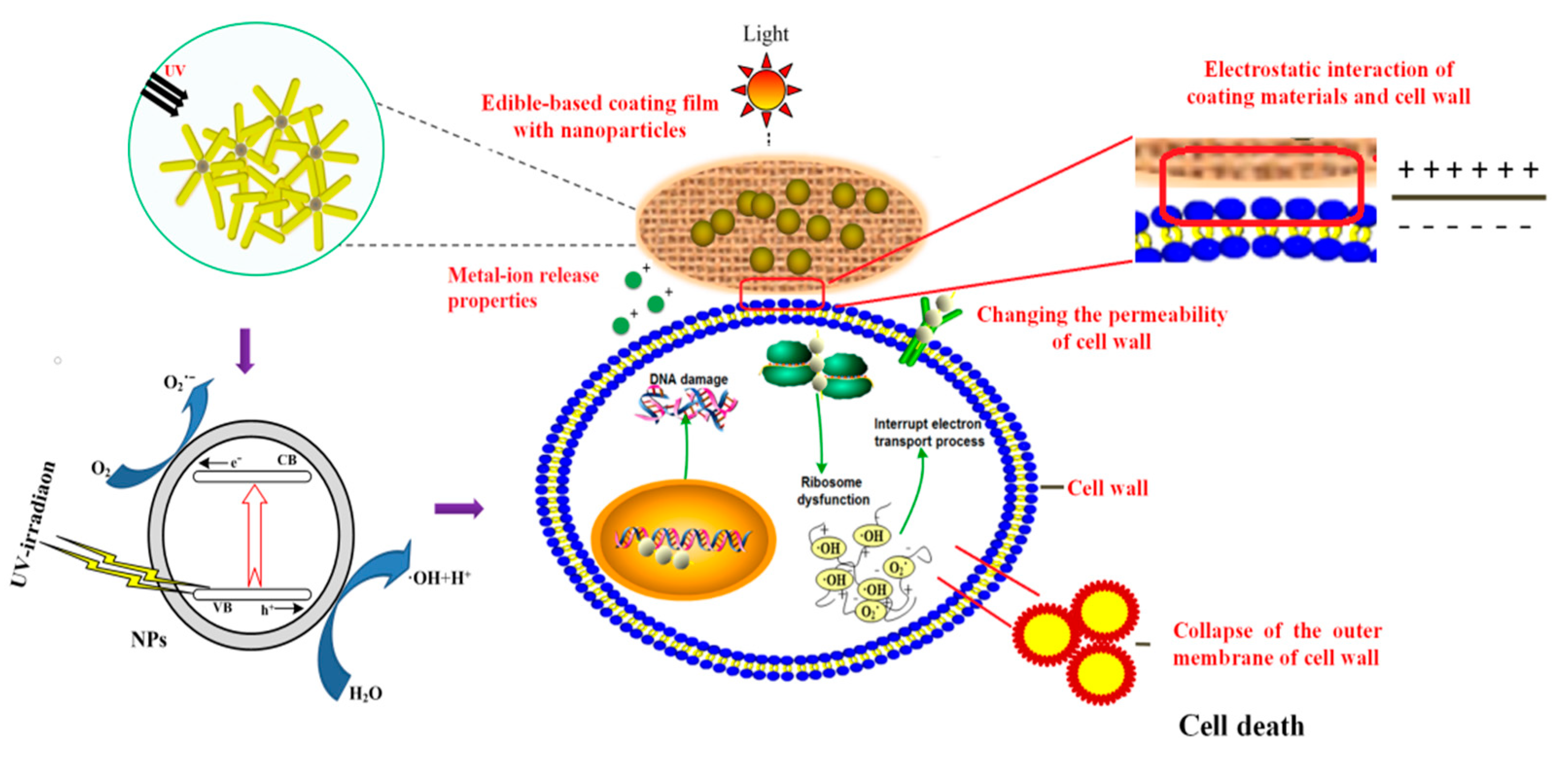 Molecules 24 01695 g005 Molecules 24 01695 g005