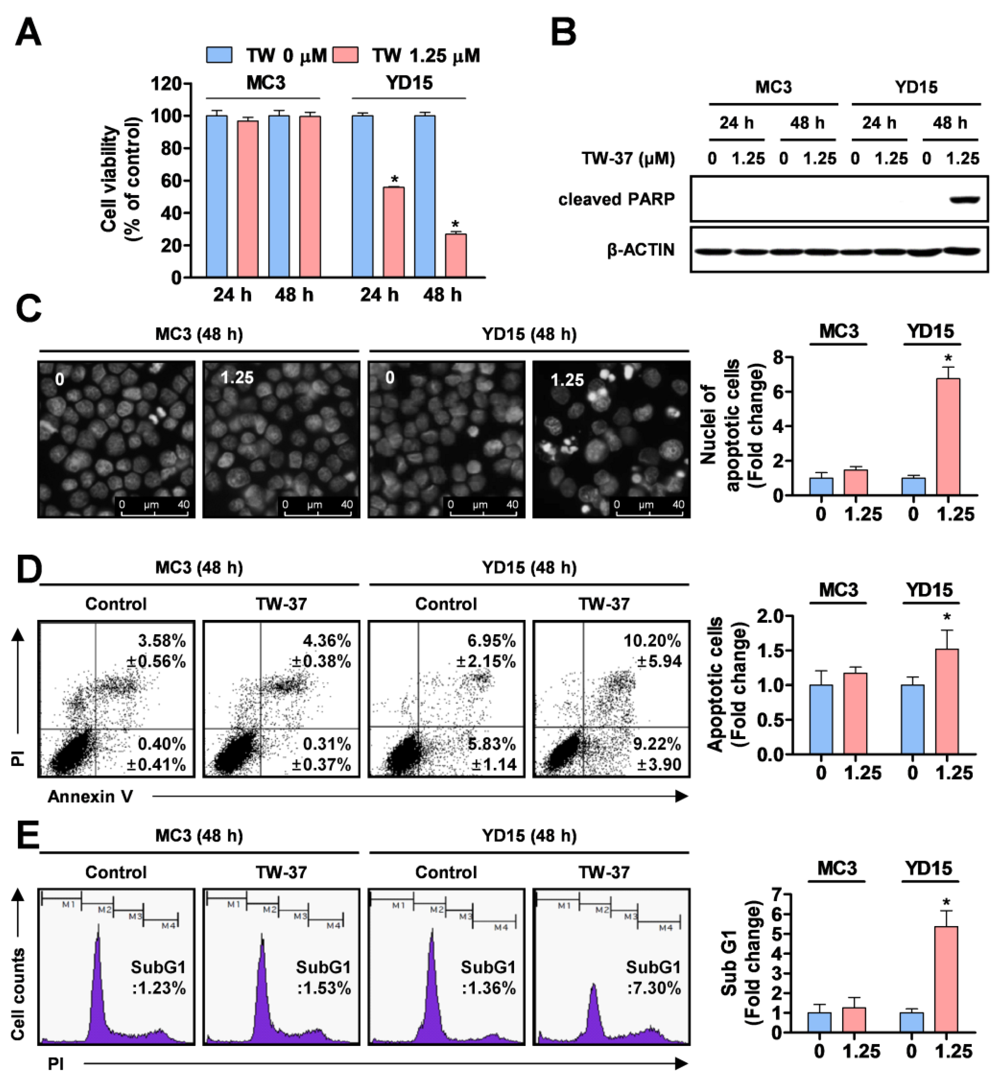 Molecules 24 01700 g001