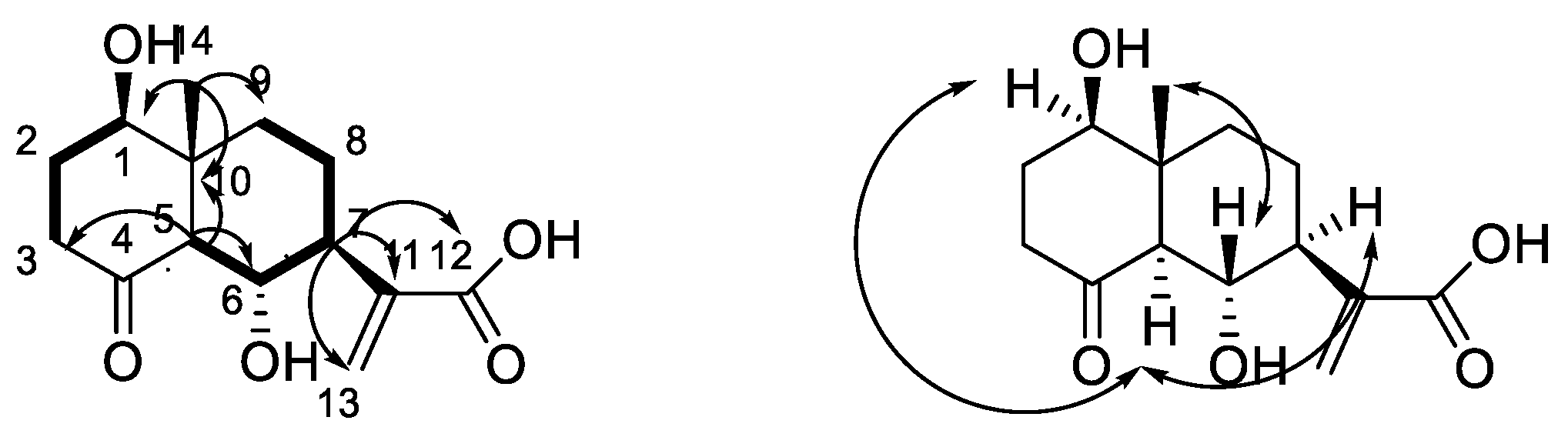 Molecules 24 01701 g002