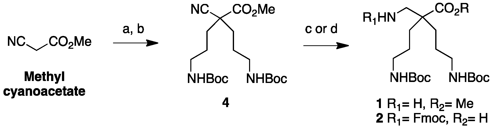 Molecules 24 01702 sch001 550