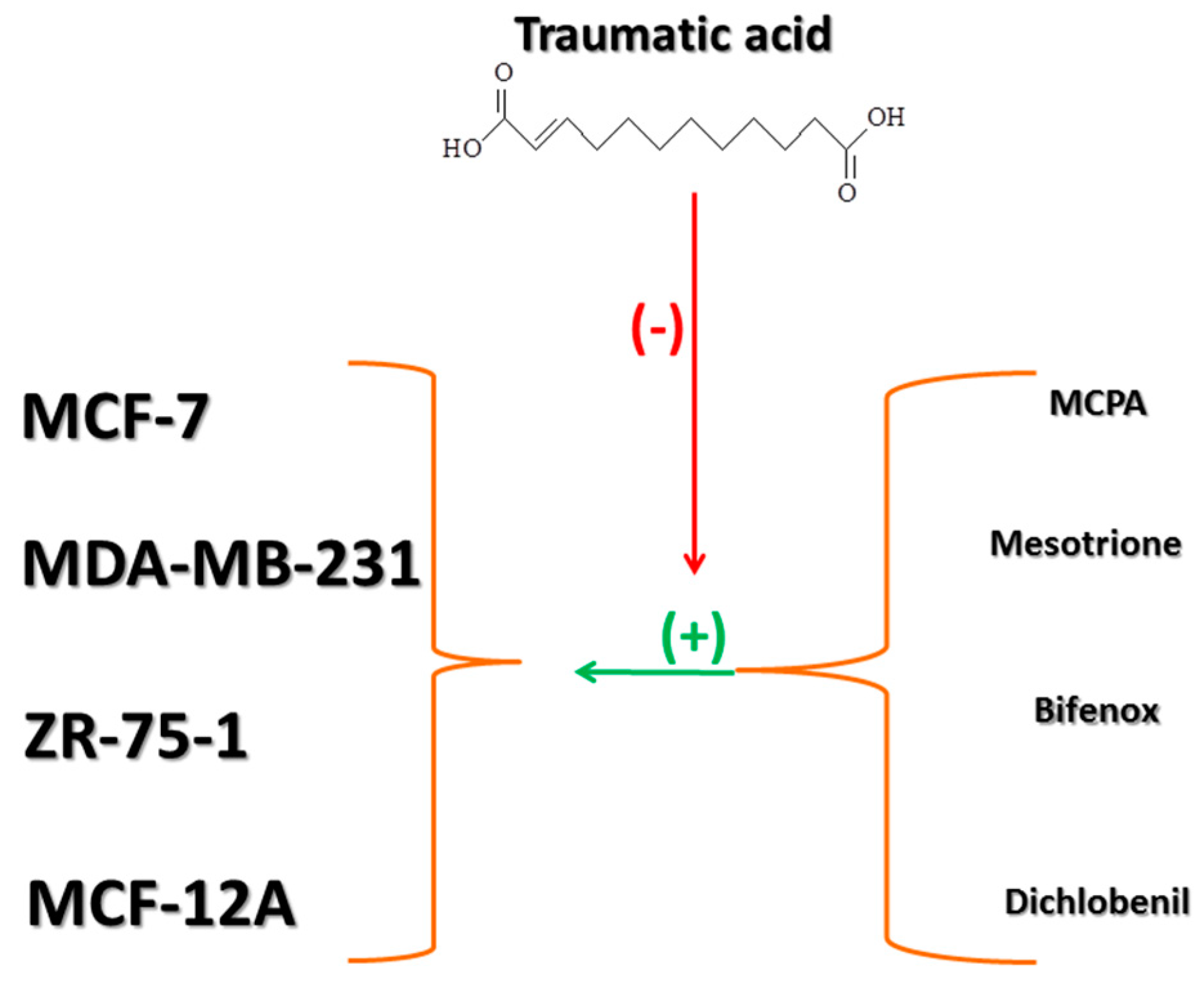 Molecules 24 01710 g011 Molecules 24 01710 g011