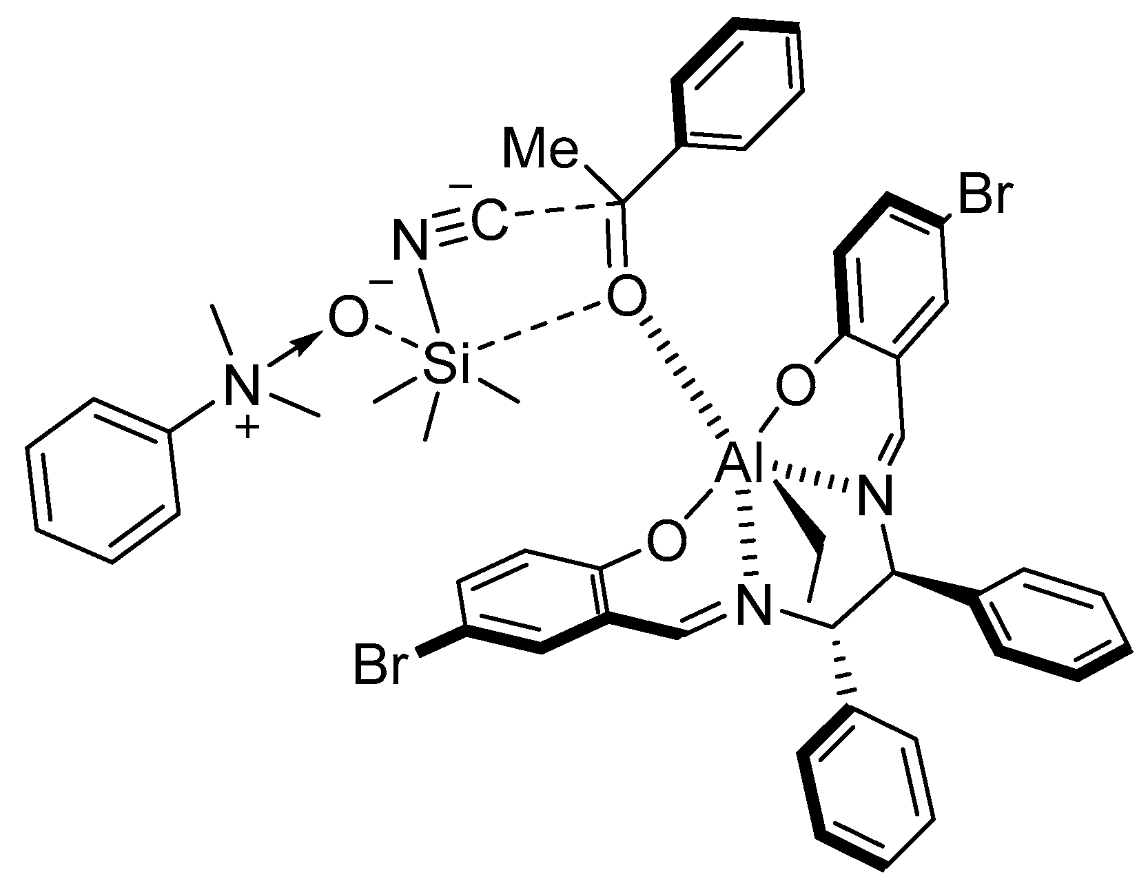 Molecules 24 01716 g004