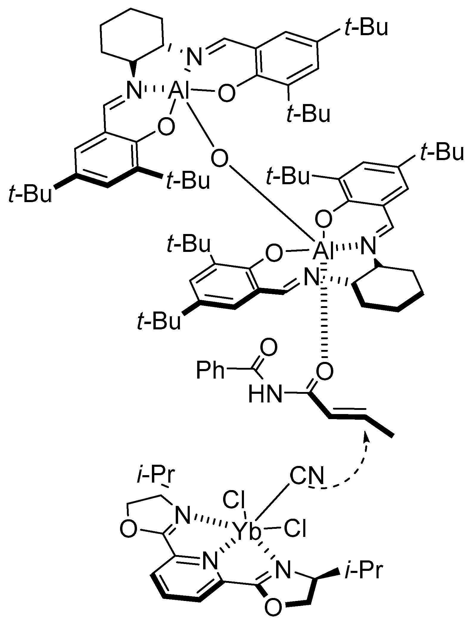 Molecules 24 01716 g006