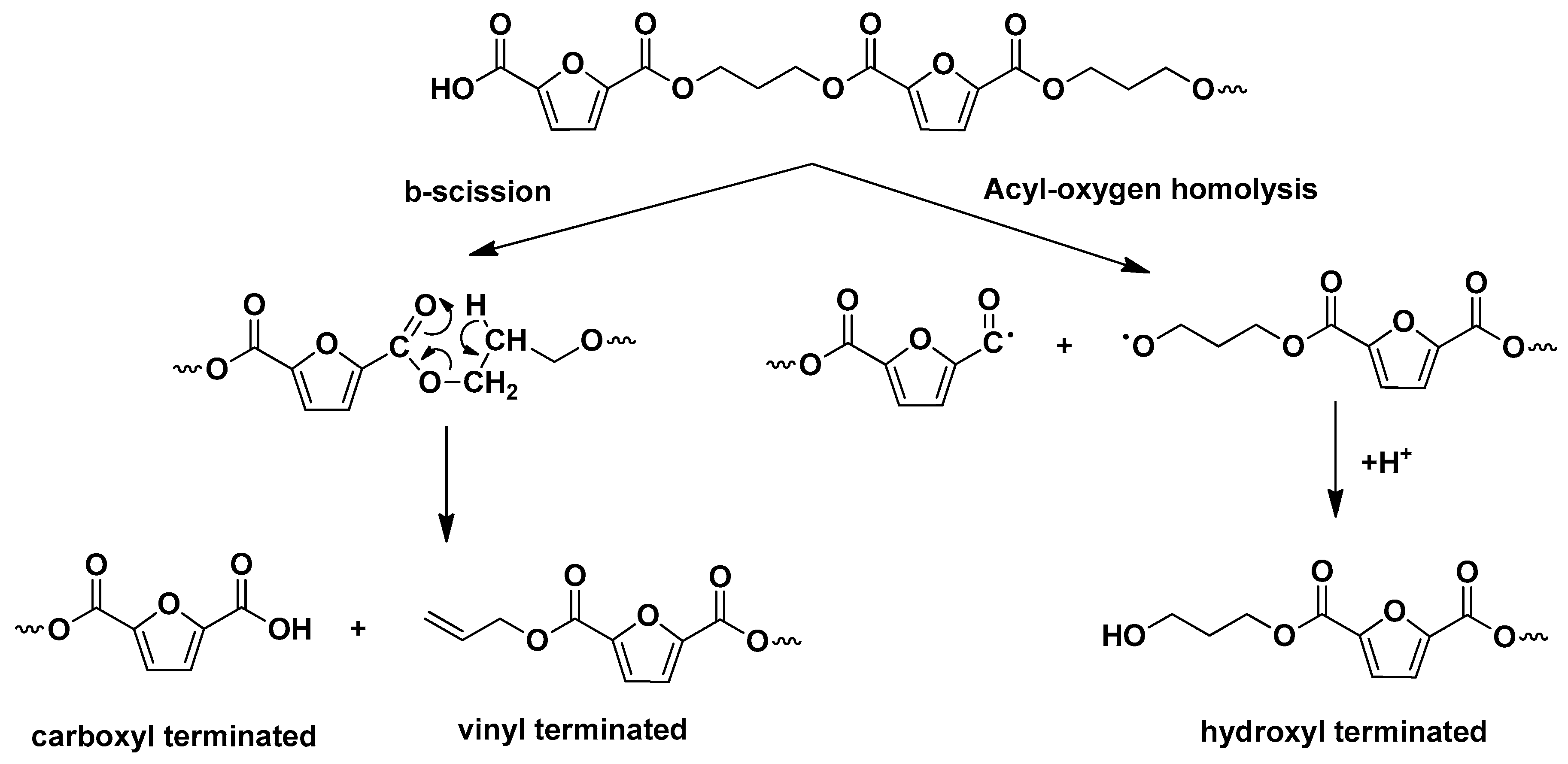 Molecules 24 01717 sch002