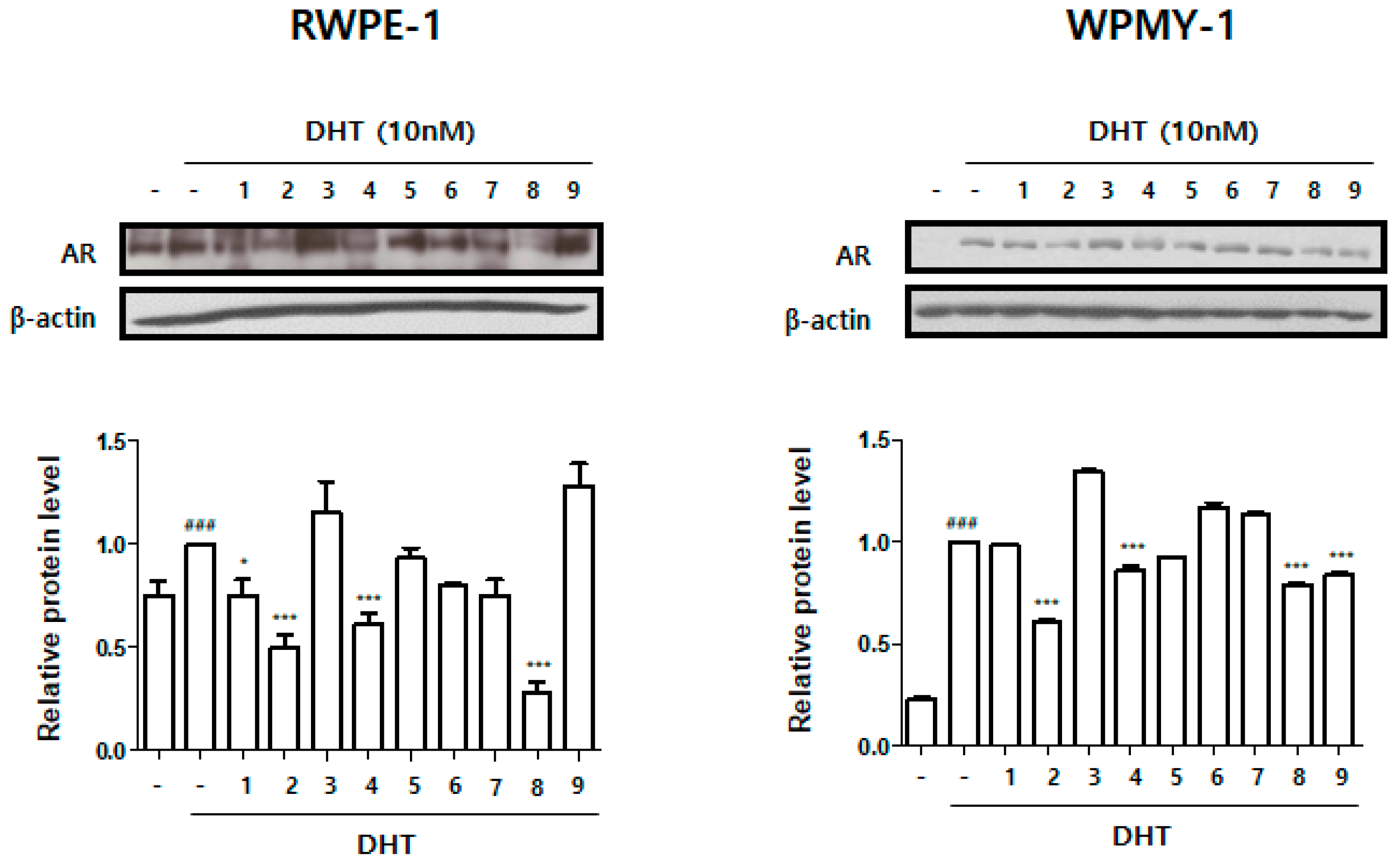 Molecules 24 01719 g003