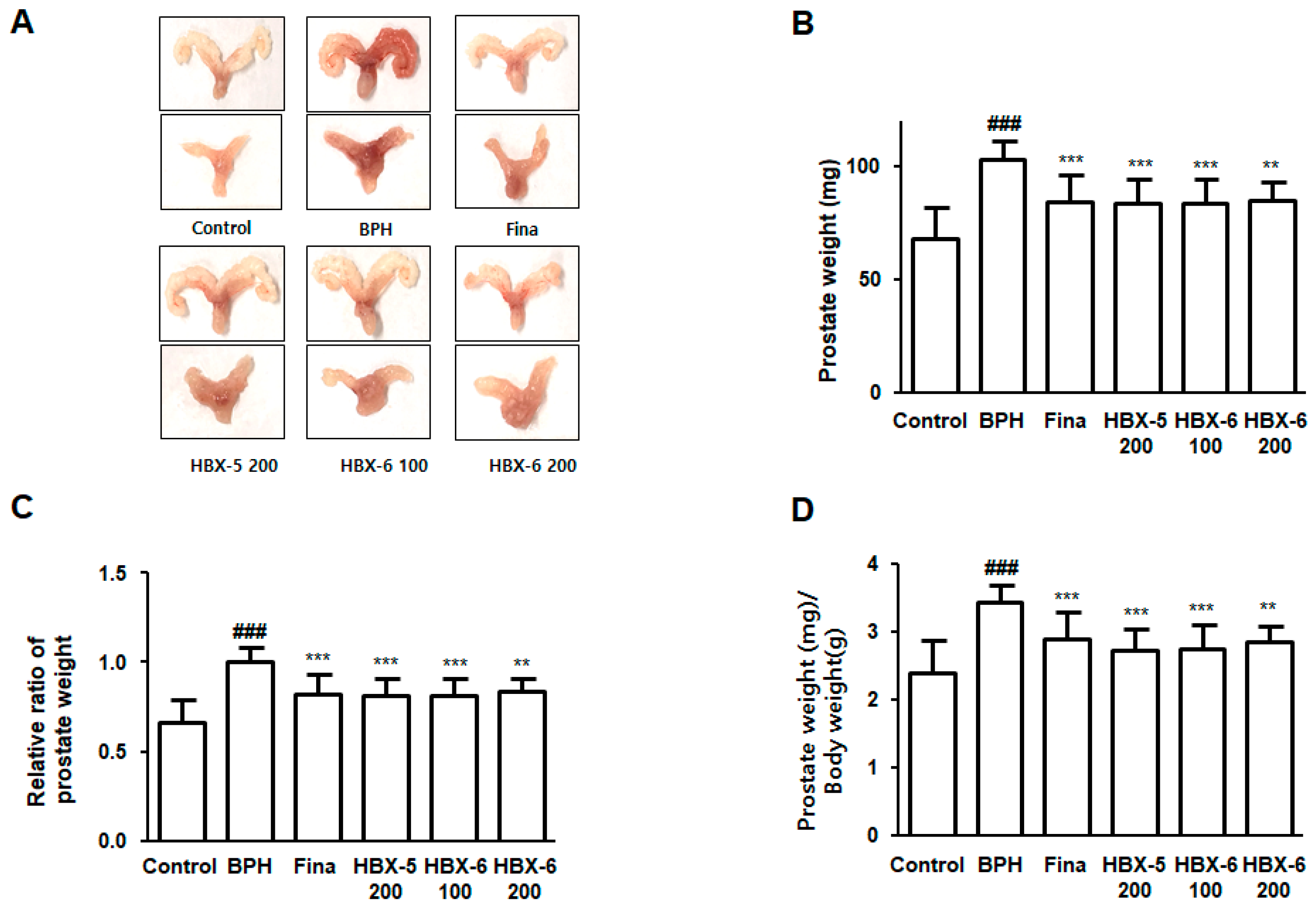 Molecules 24 01719 g005
