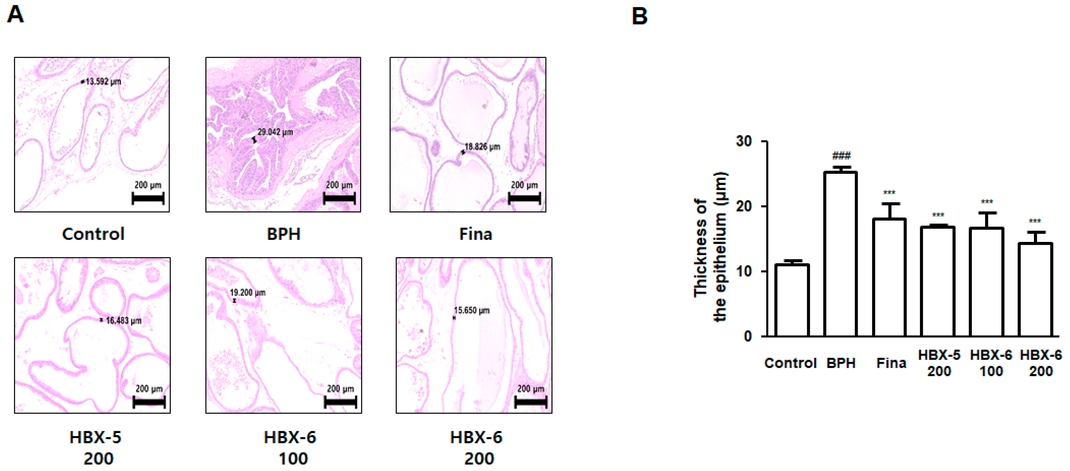 Molecules 24 01719 g006
