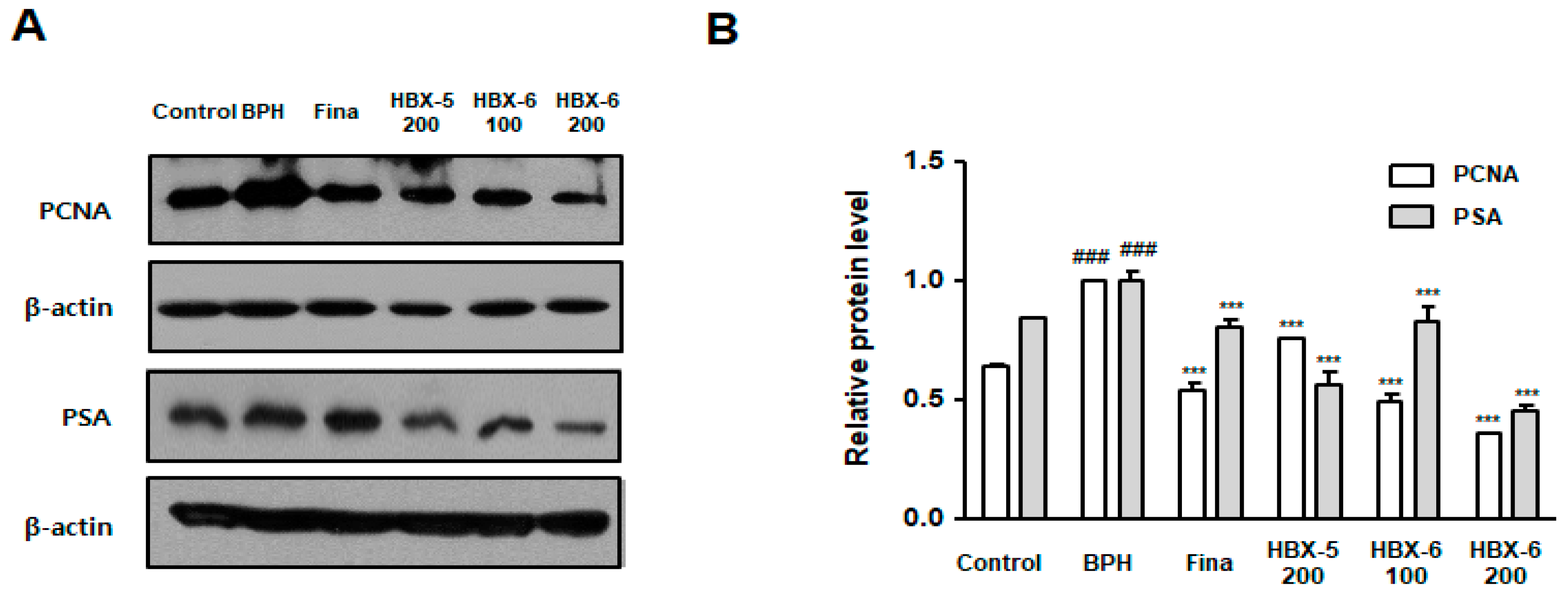 Molecules 24 01719 g007