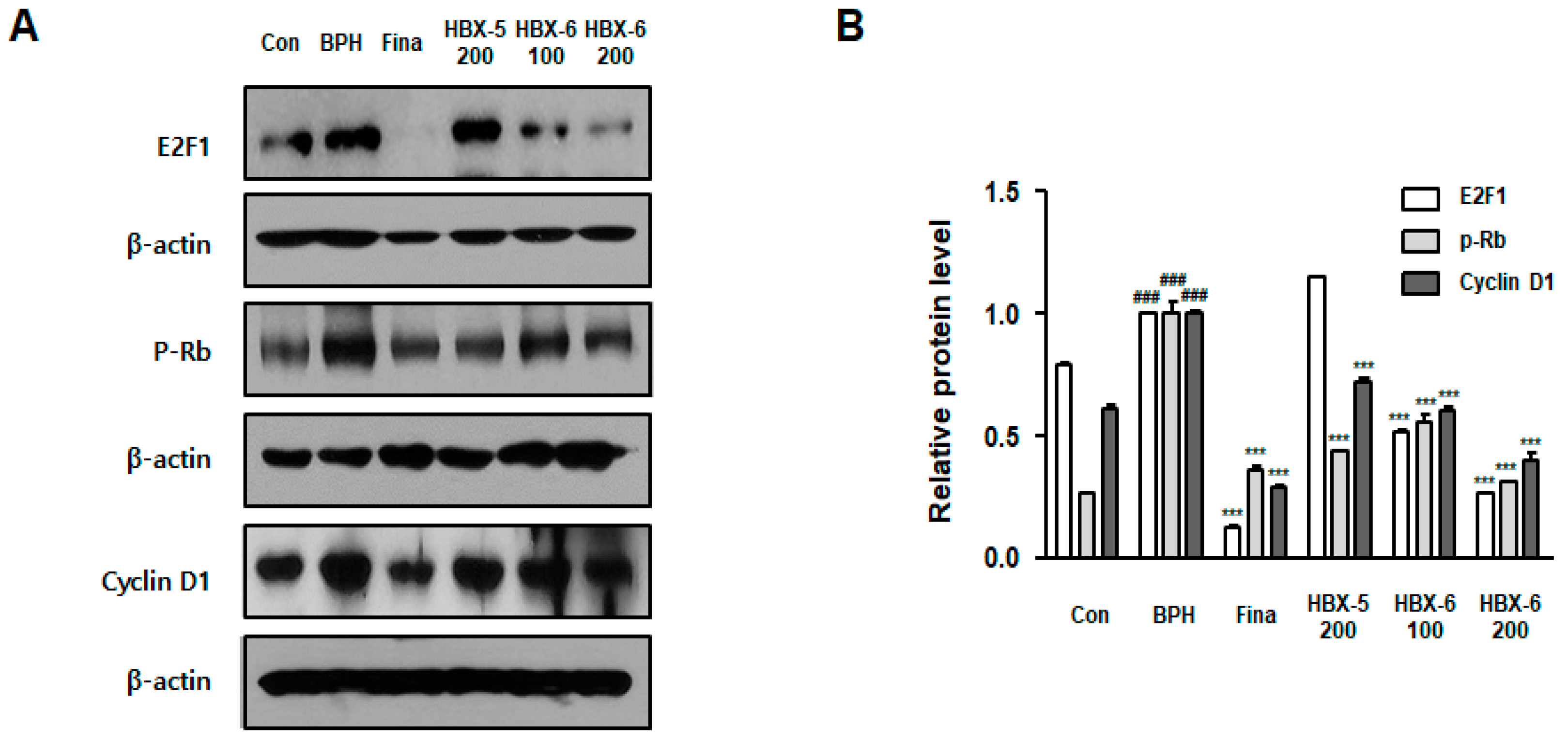 Molecules 24 01719 g008